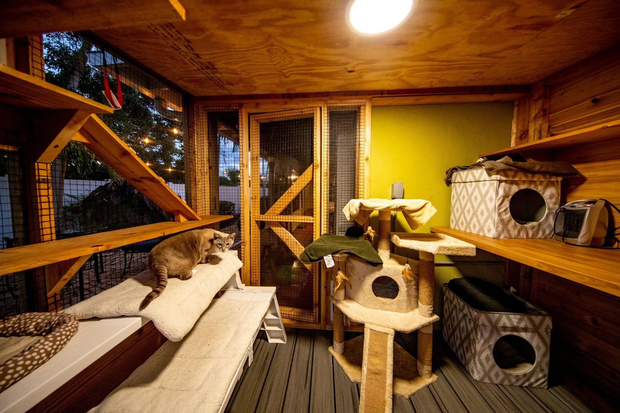 How to Keep Your Cat Warm with a Heated Outdoor Cat House - Cat Topia, image size:2000x1333