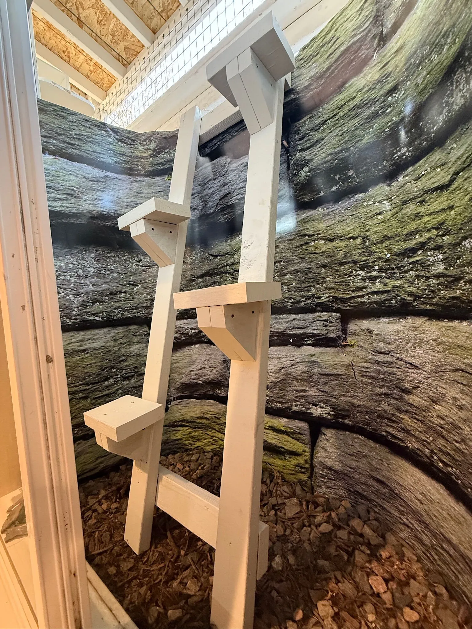 The Cat Leaf Cat House - Image 2