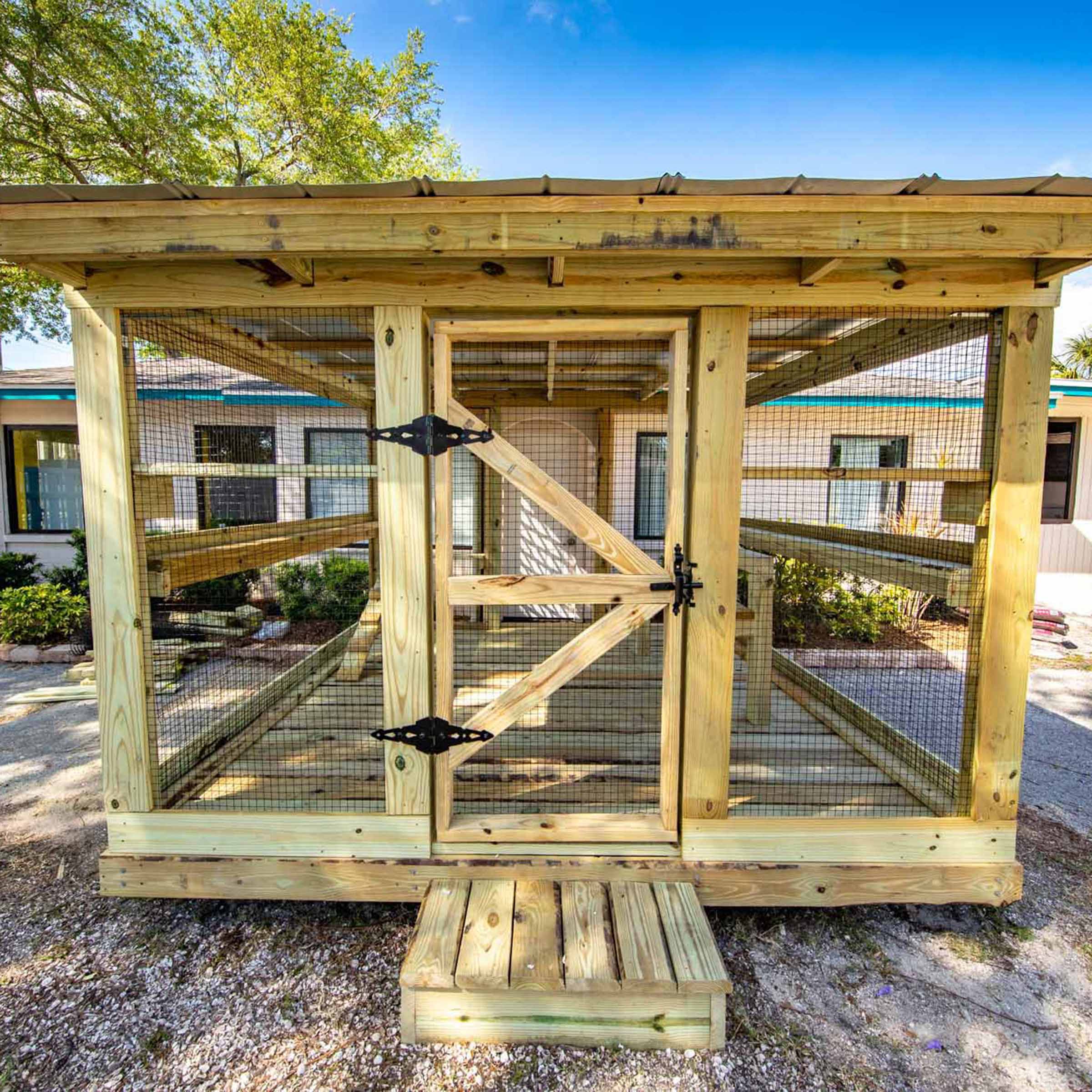 Front view of a spacious wooden catio with a peaked roof, large entry door, mesh walls, and multiple interior catwalks, positioned outside a house with a gravel base.