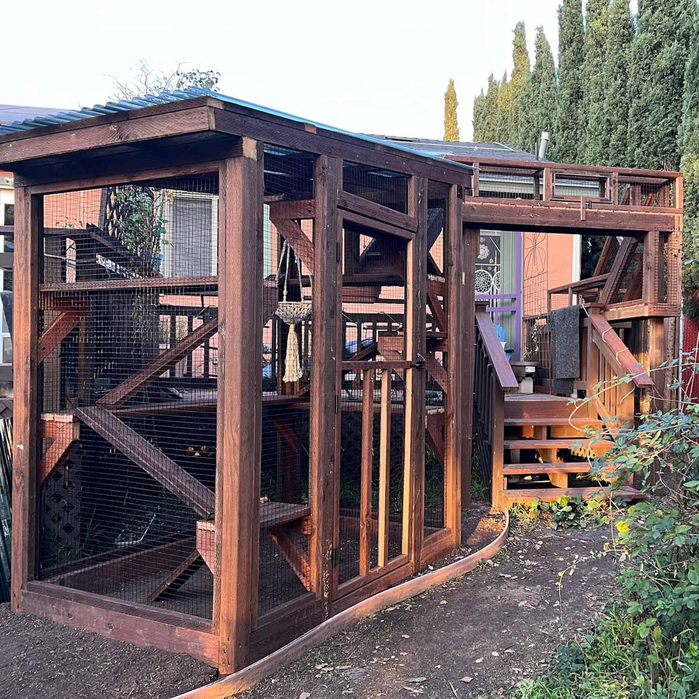 Large custom catio built with dark wood, featuring multiple climbing platforms, ramps, a macrame hammock, and a tunnel leading from a raised porch.