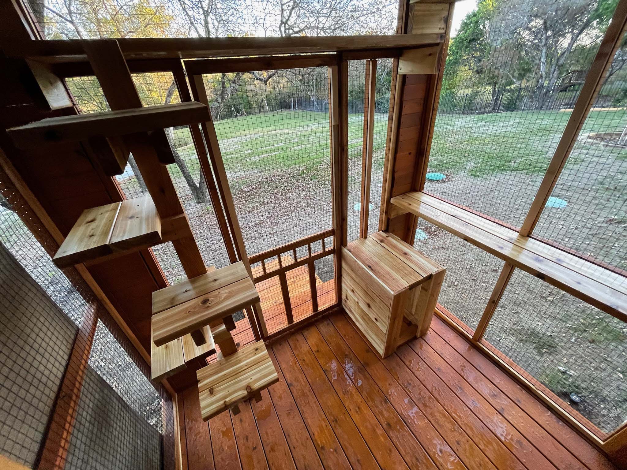 Interior of a wooden catio featuring staggered climbing platforms, a window bench, and full mesh views of a grassy backyard.