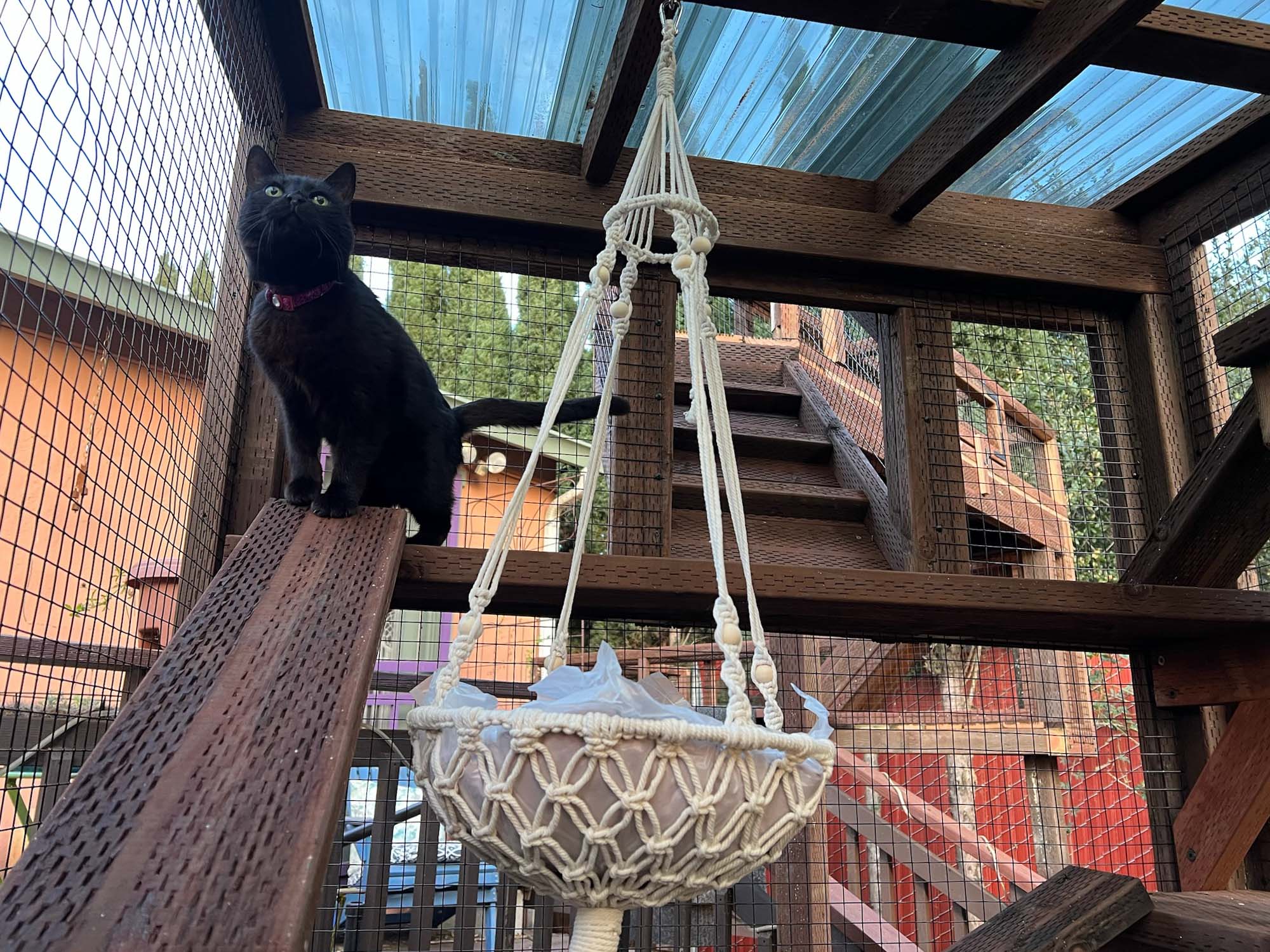 Large Custom Catio with Tunnel For Sale | The Purr Pathway - Image 6