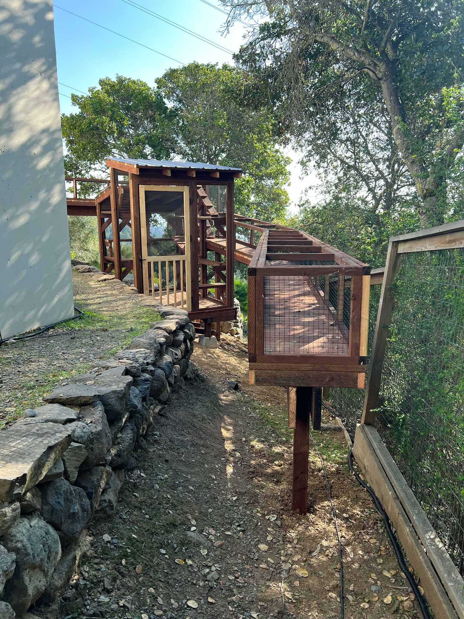 Ground-level view of a custom hillside catio with a mesh tunnel ramp, vertical tower enclosure, and wooden gate door.