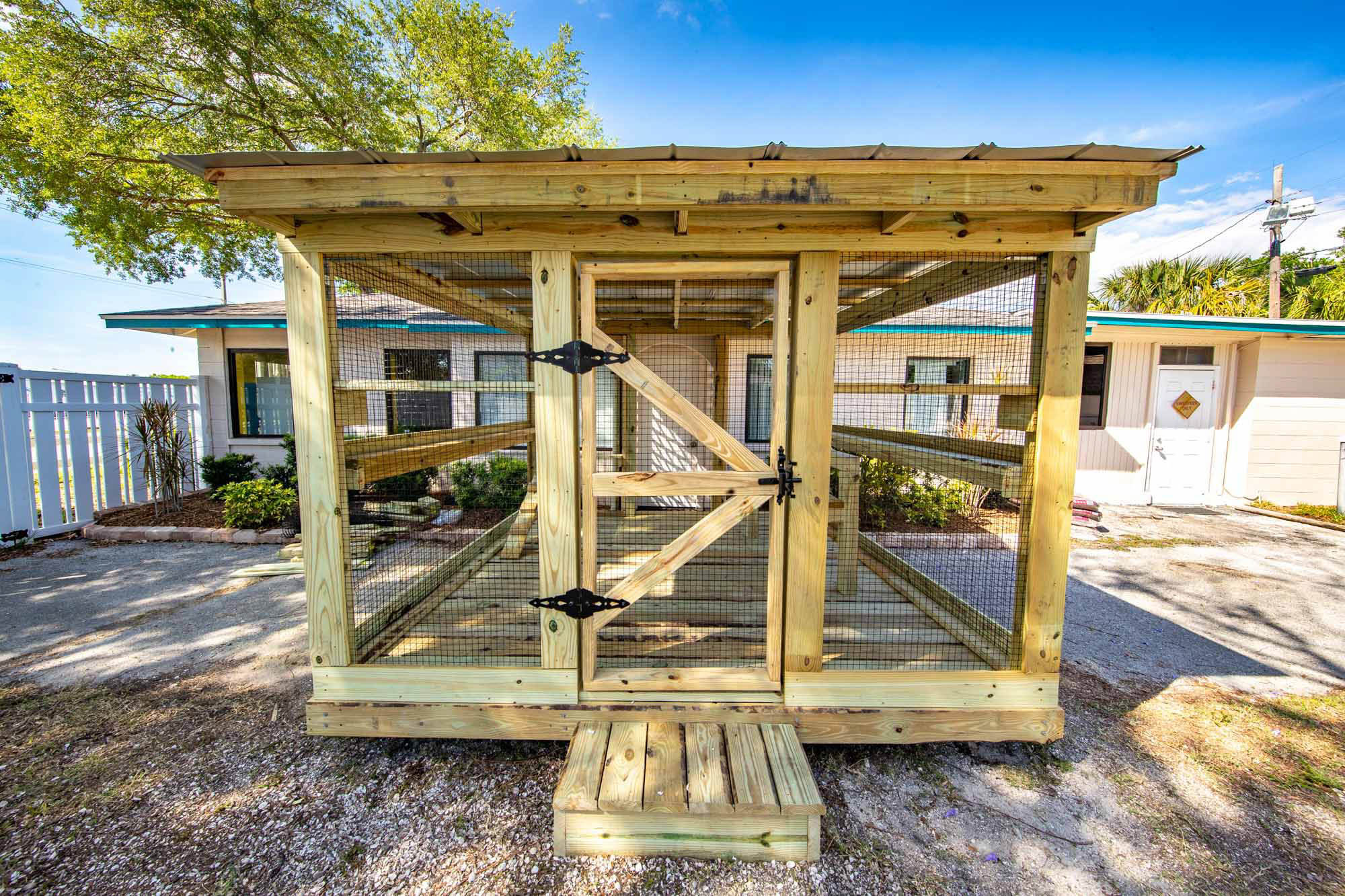 Bright daylight image of a wooden custom catio with a center-entry door, mesh walls, and multiple interior shelves, placed in a landscaped backyard next to a white house.