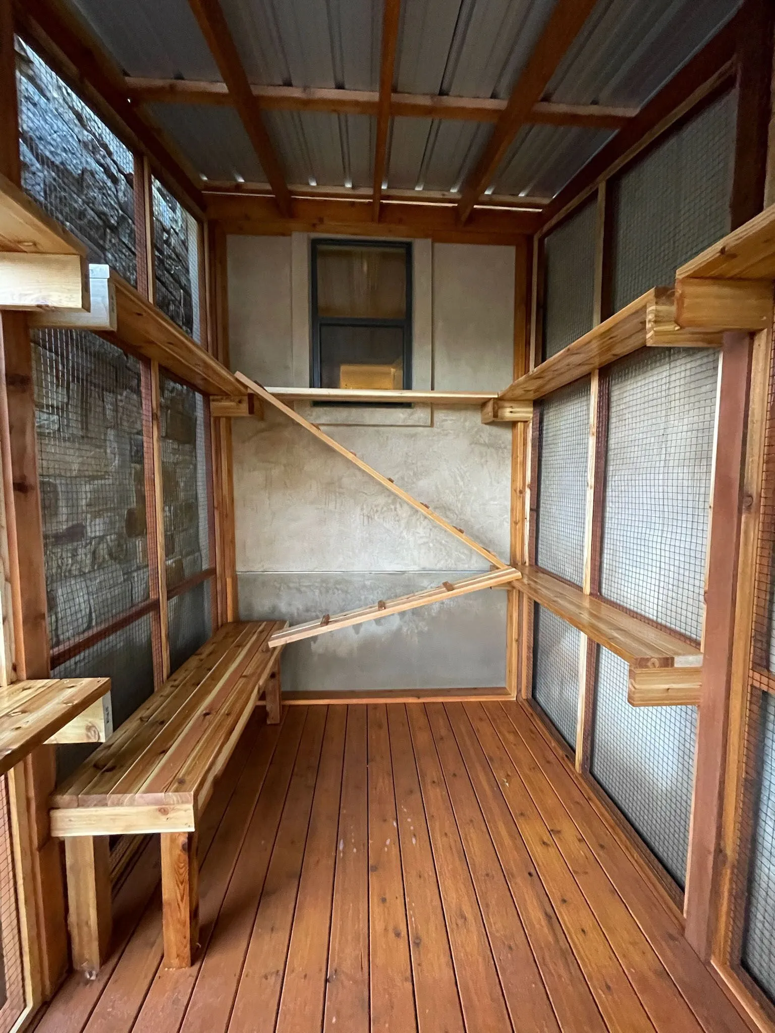 Interior of a wooden catio with high perches, a diagonal climbing ramp with steps, a bench, and mesh panels on all sides.