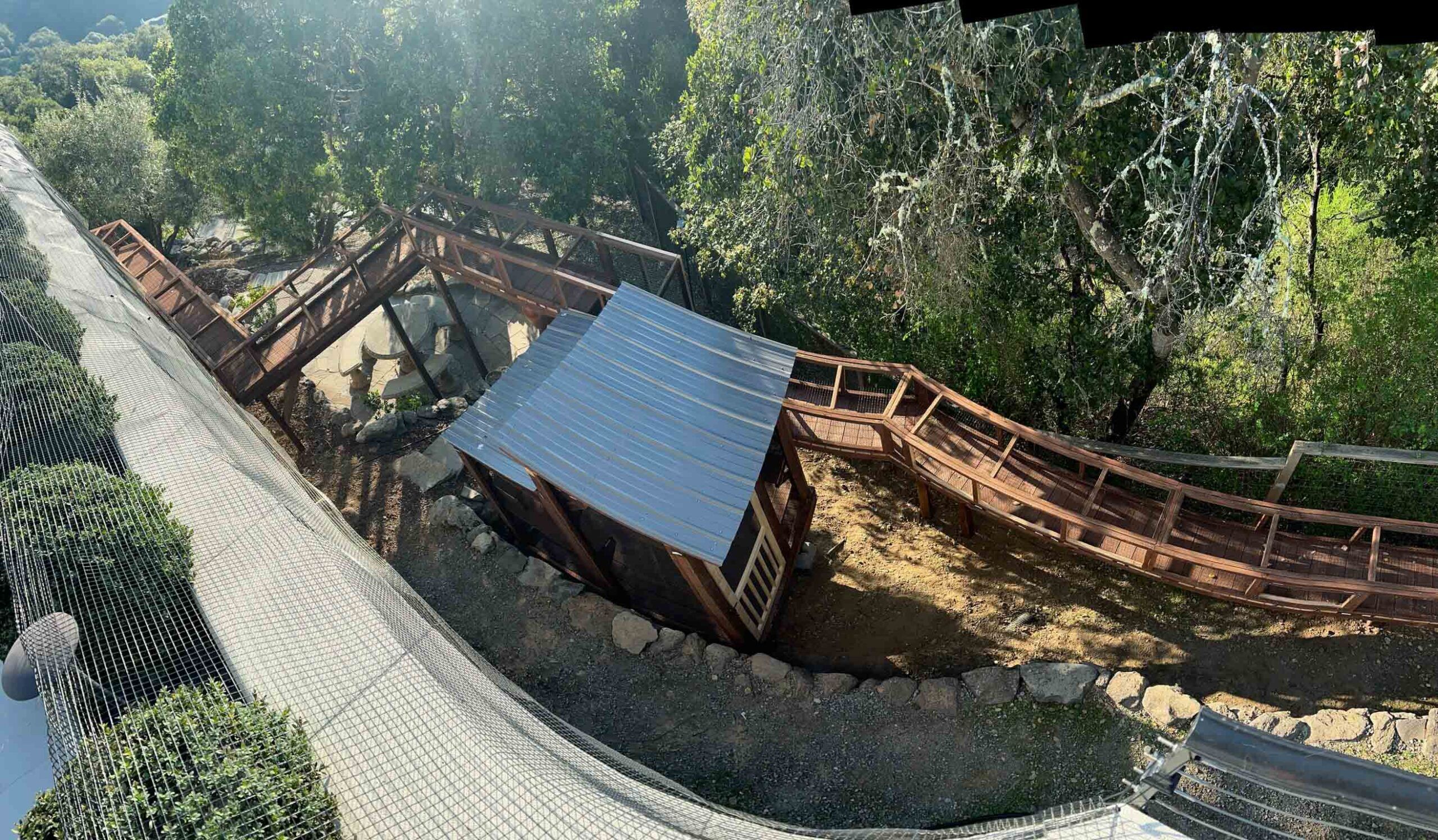 Overhead view of an extensive custom catio featuring a large roofed enclosure and long winding catwalks through a shaded natural landscape.