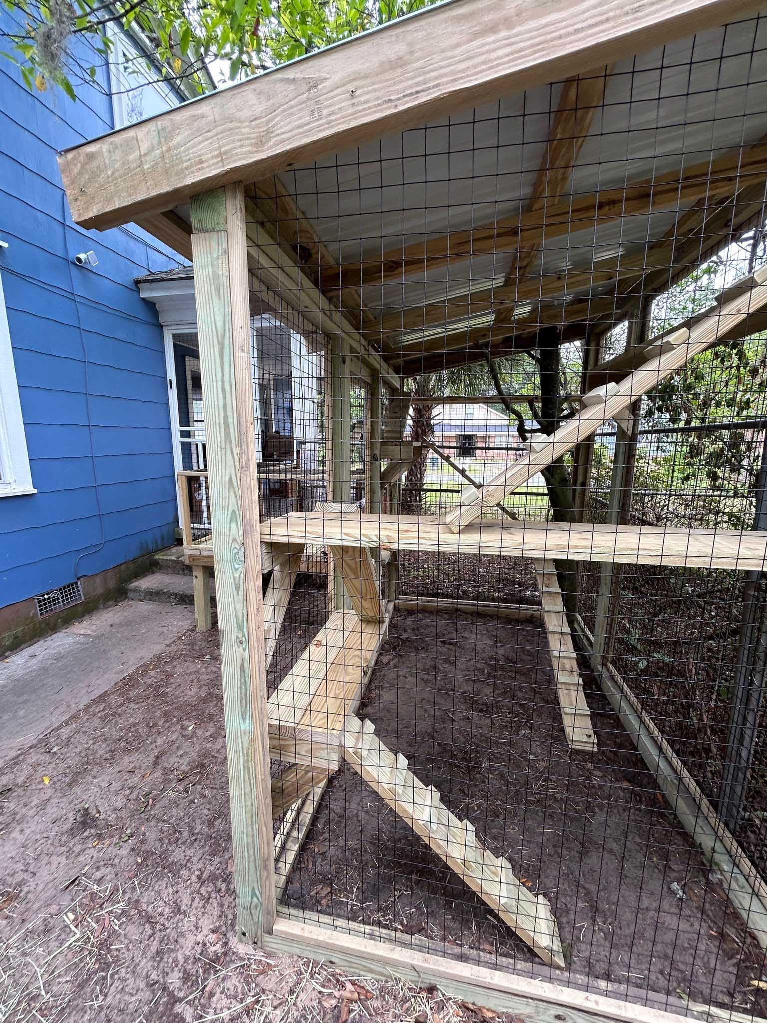 Wood-framed outdoor catio with wire mesh panels, slanted roof, and multiple wooden ramps for vertical exploration.
