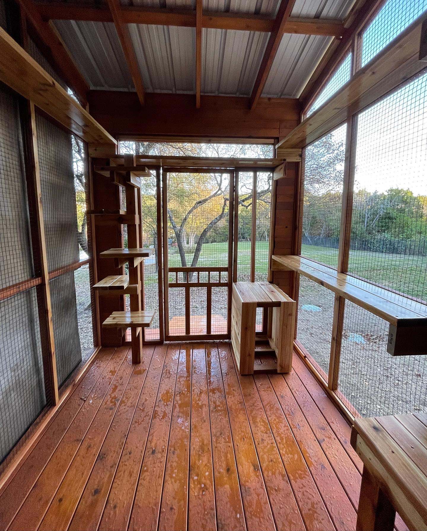 Interior view of a wooden catio with a pitched metal roof, climbing steps, perches, and a cubby bench, overlooking a grassy backyard.