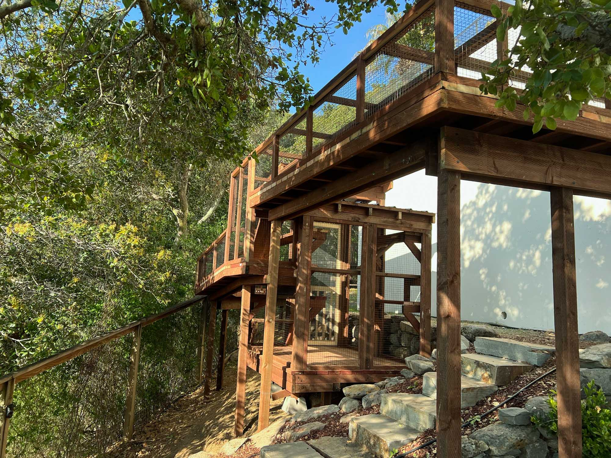 Multi-level custom wood catio built into a hillside, featuring an elevated catwalk, mesh walls for safety, and a ground-level entry connected by stone steps.