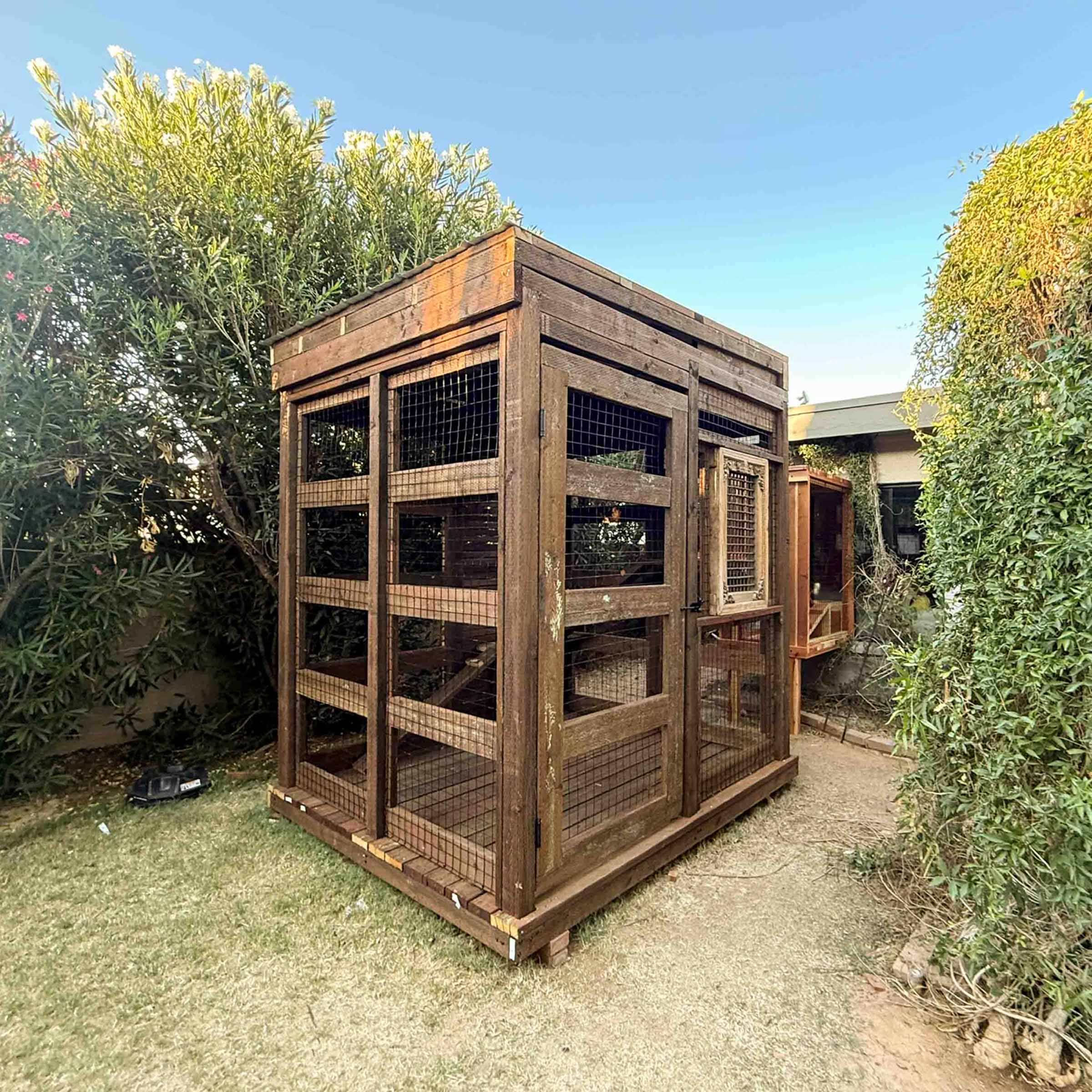 Outdoor wooden catio enclosure with screened panels, surrounded by greenery and connected to the house.