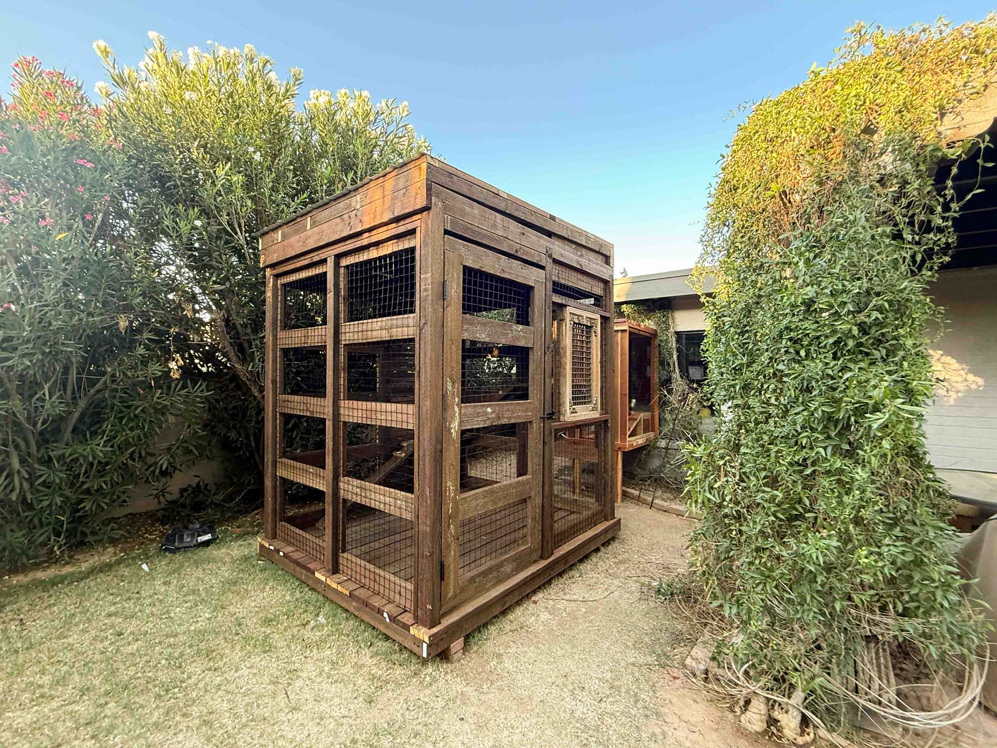 Large wooden catio structure in a backyard, connected to the house with a tunnel and surrounded by greenery.