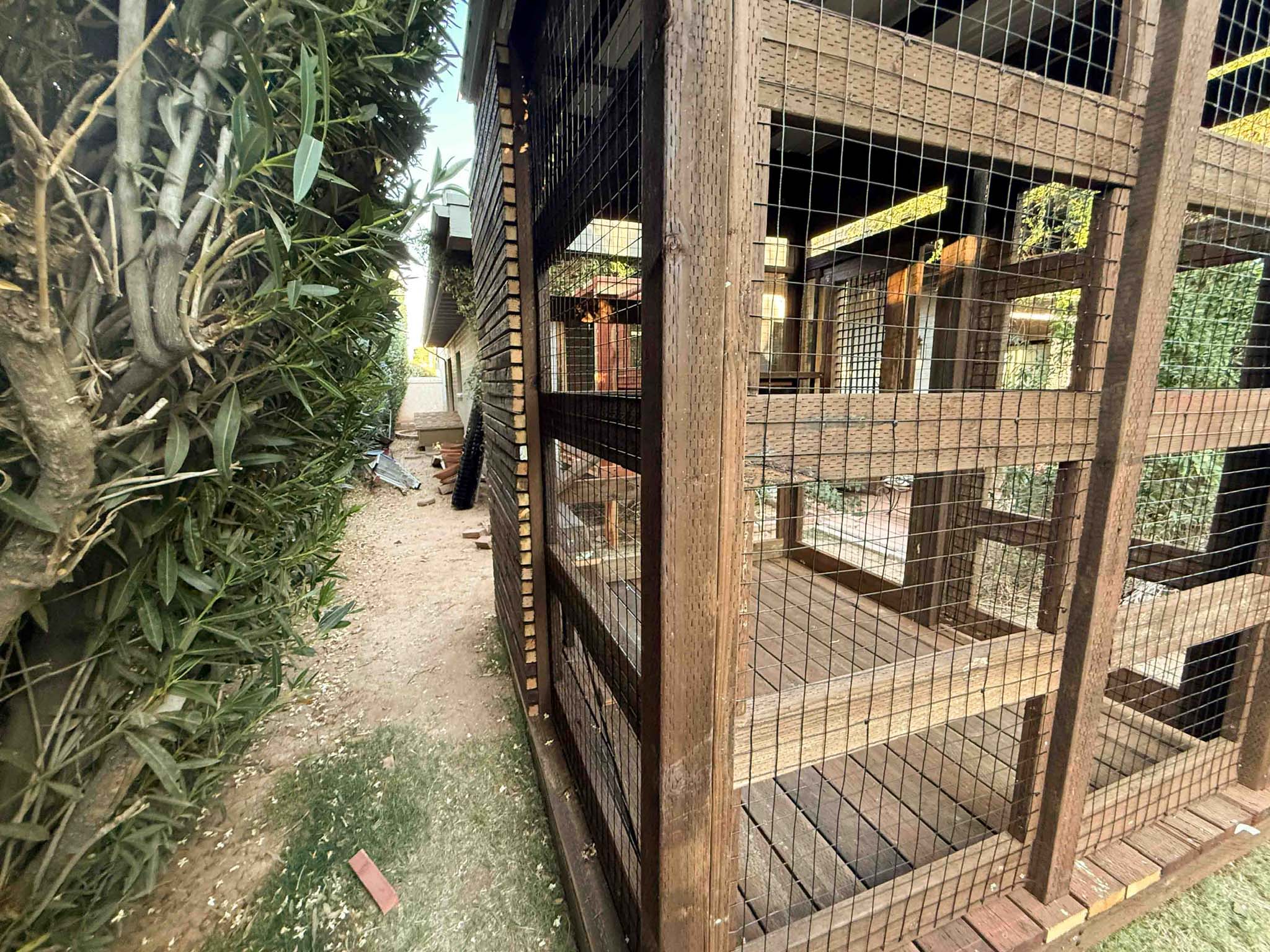 Side view of a large wooden catio next to a hedge-lined path, showcasing secure wire mesh and open-air design.