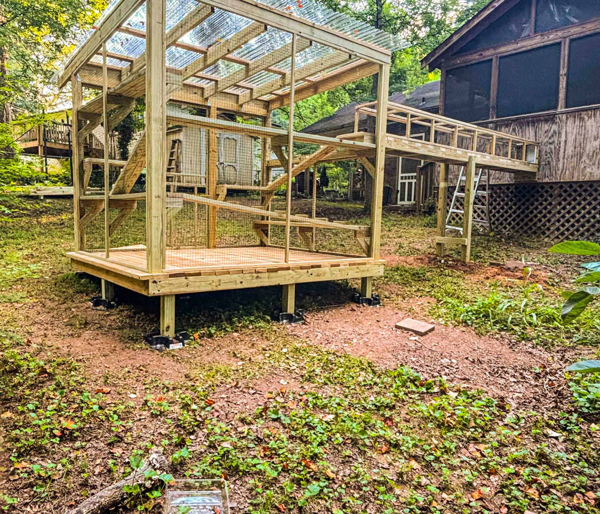 Raised outdoor catio with clear polycarbonate roof panels and a tunnel connected to the screened porch.