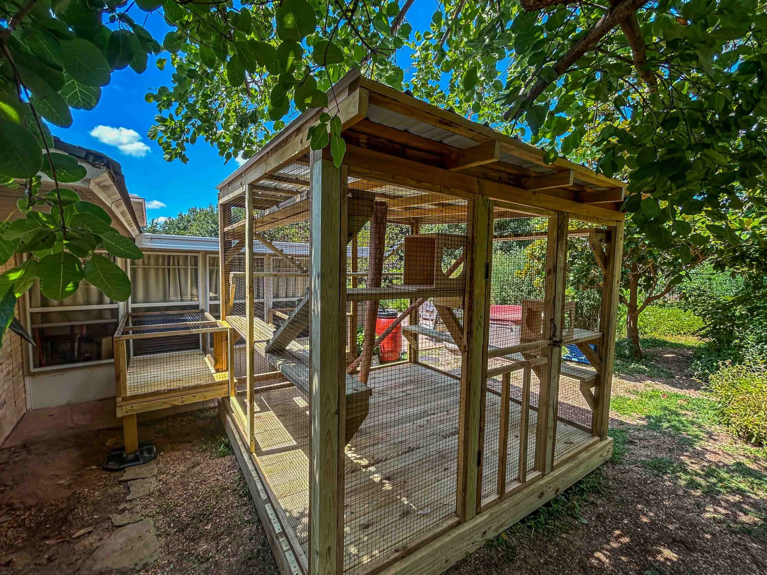 Chicken Coop Outdoor Cat Run Enclosure Bespoke Outdoor Cat Runs