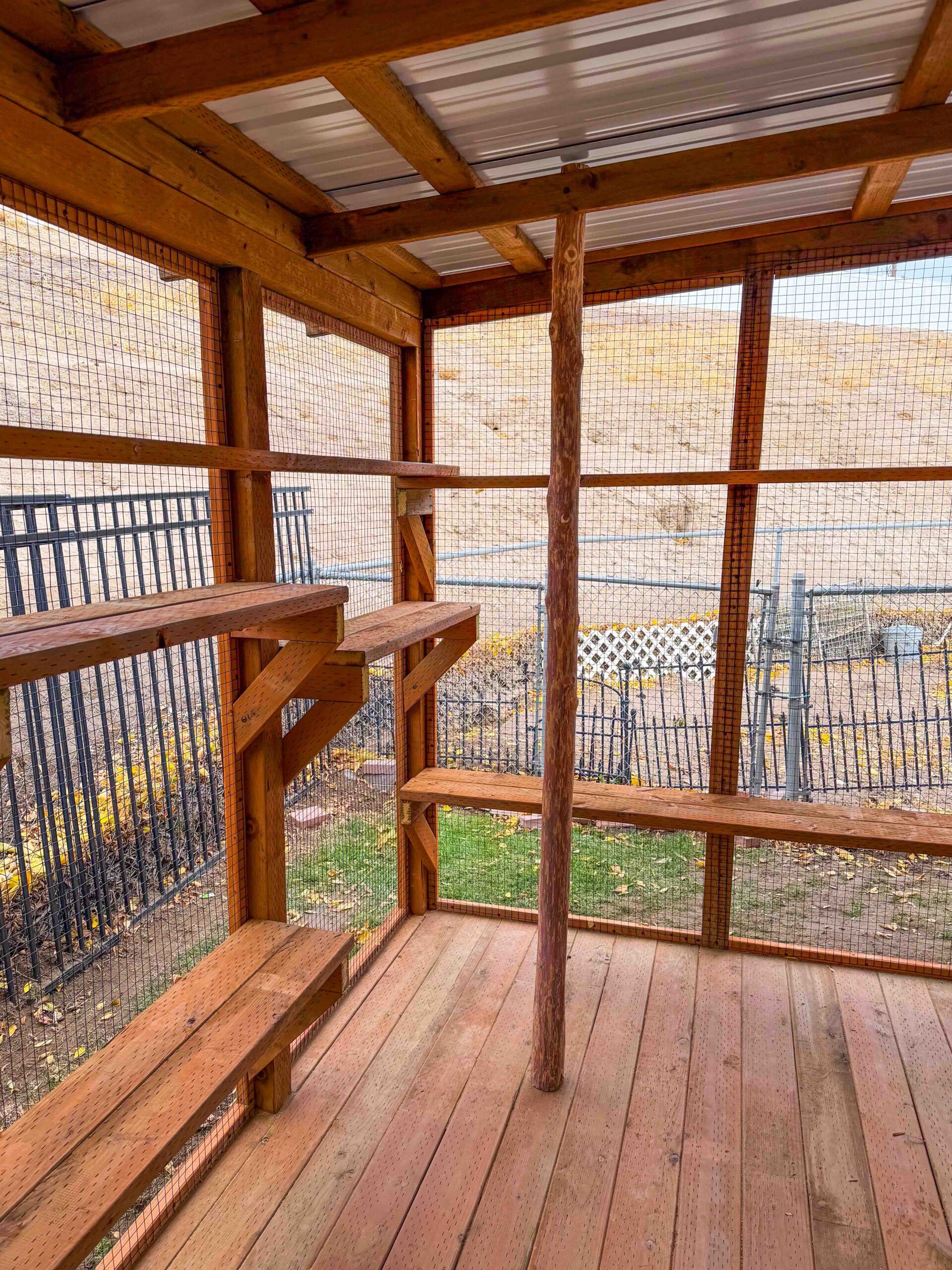 Spacious custom catio with climbing shelves, natural wood posts, and enclosed wire panels providing a safe outdoor area for cats.