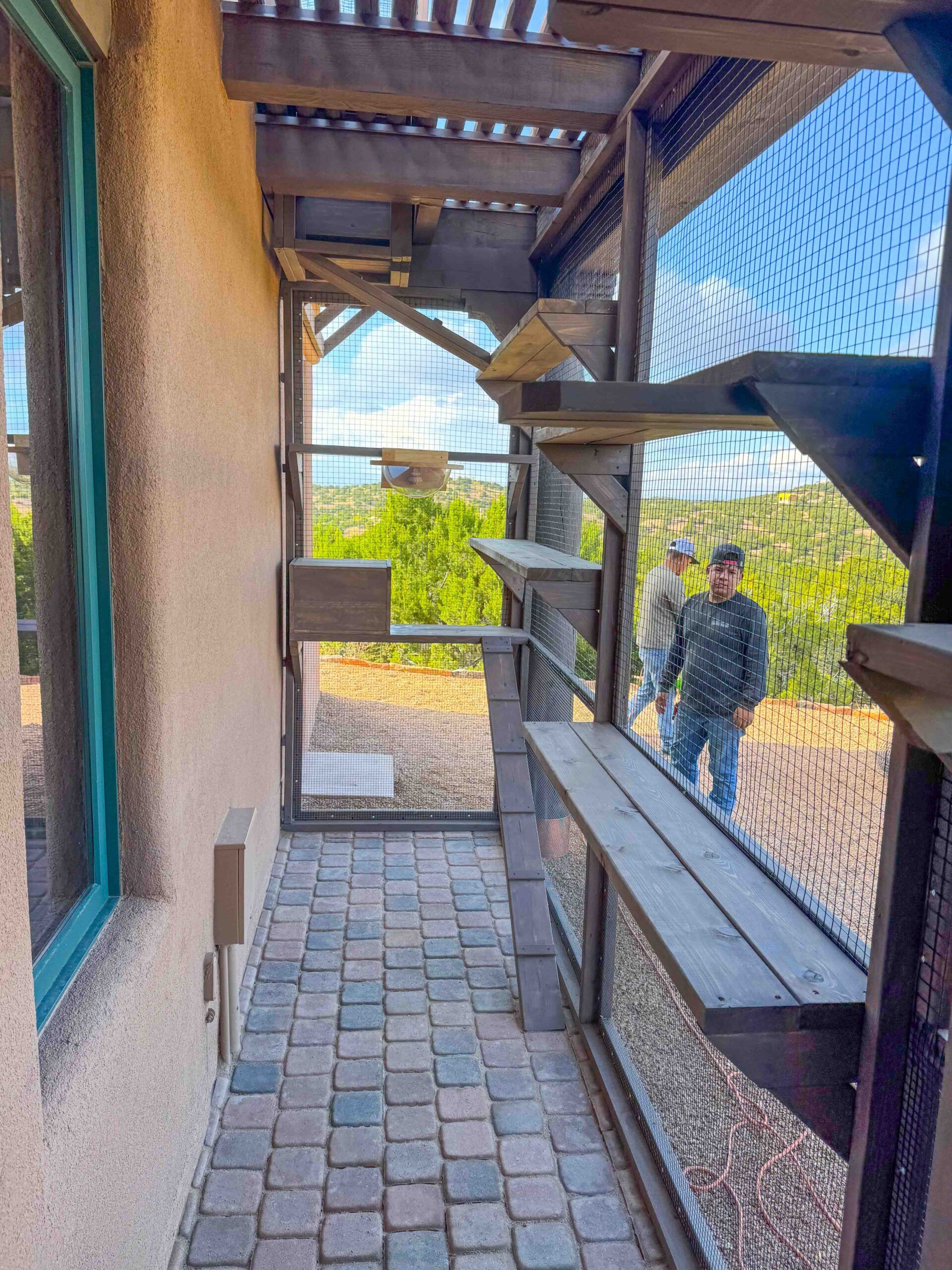Interior view of a custom stained cedar catio with climbing shelves and a secure mesh enclosure.