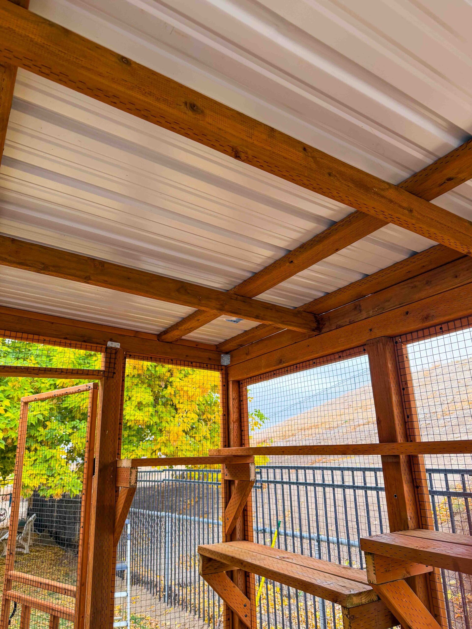 Overhead view of custom catio roof with sturdy wooden framing and metal panels for weather protection.