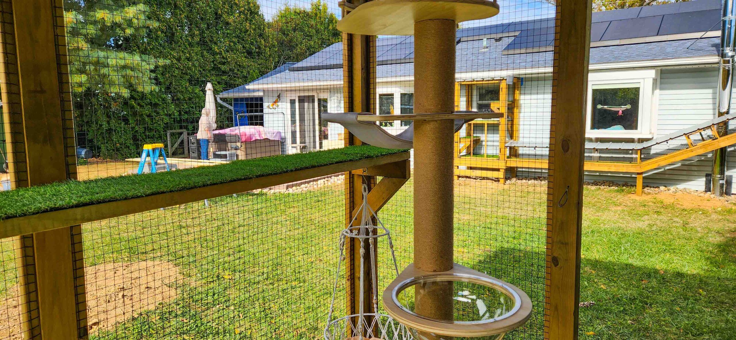 Custom catio interior showing scratching post, elevated platforms, and tunnel connection to house in background.
