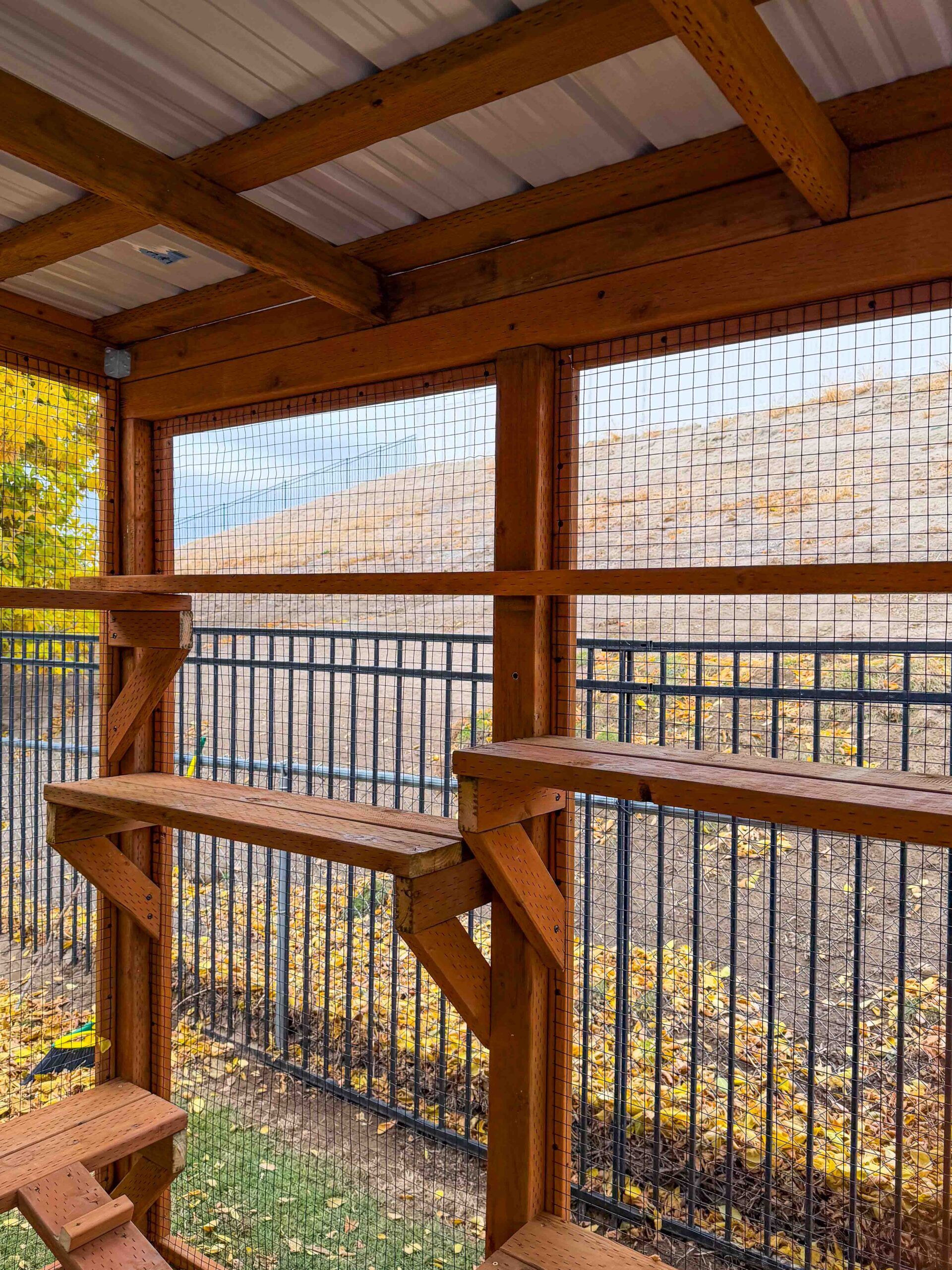 Side view of wooden catio interior showing elevated platforms and mesh walls for visibility and airflow.
