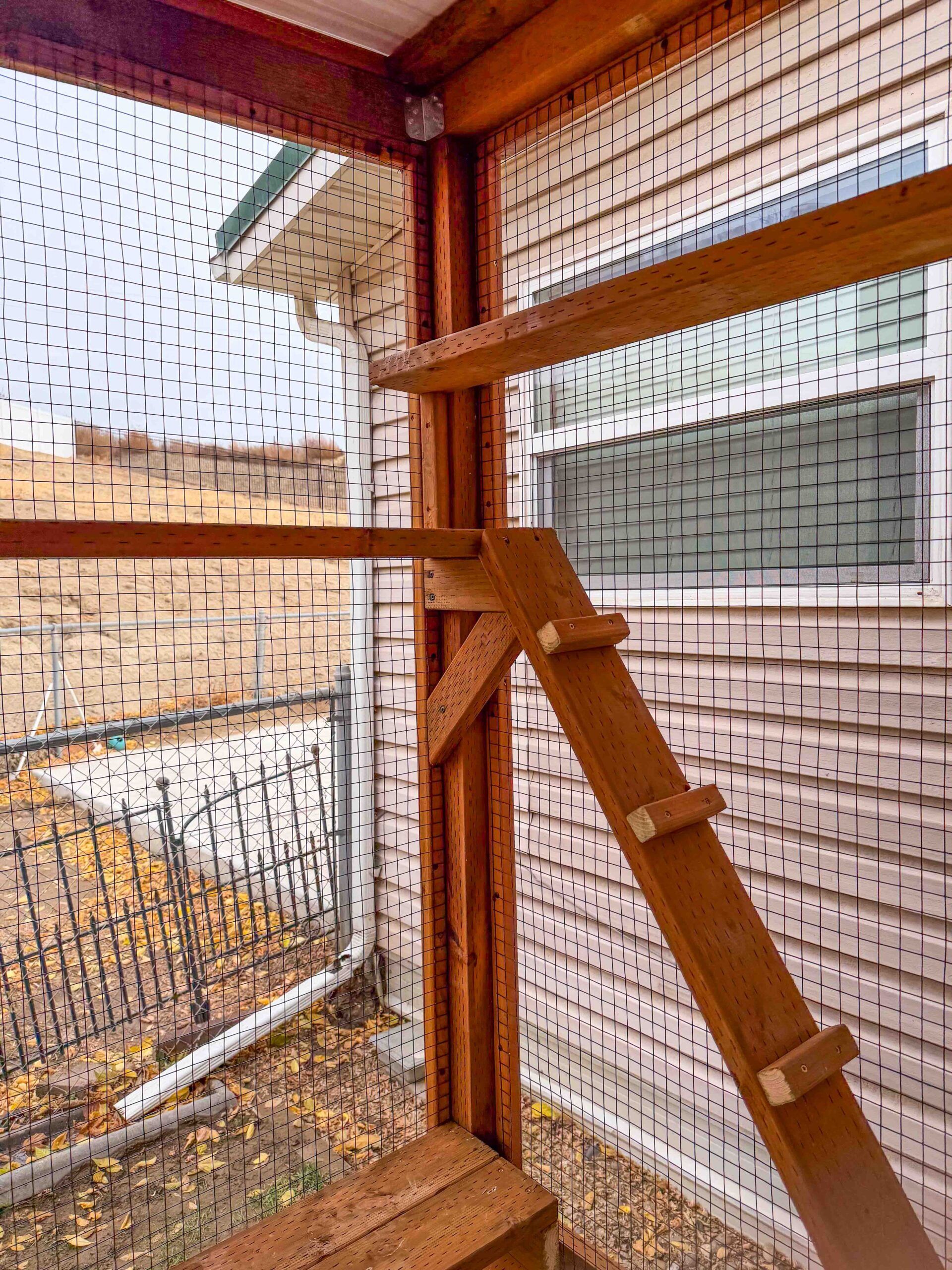 Cat ladder leading up to interior shelves inside a custom catio attached to a house.