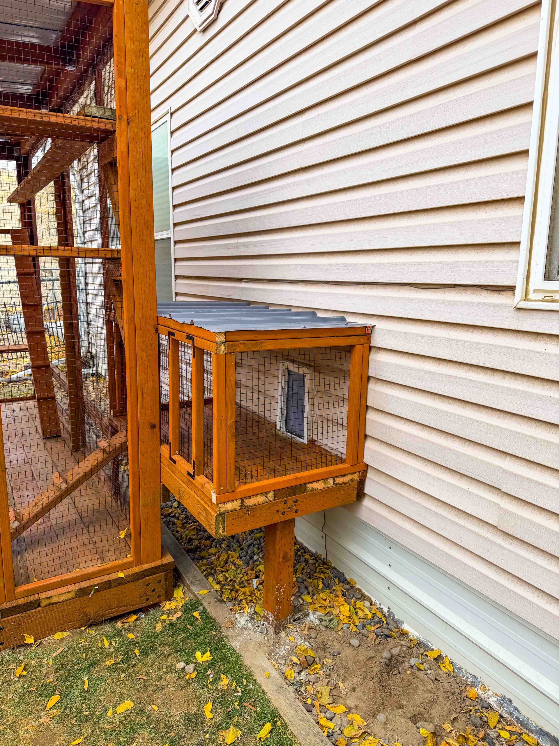 Exterior view of small cat tunnel connecting house window to main catio enclosure.