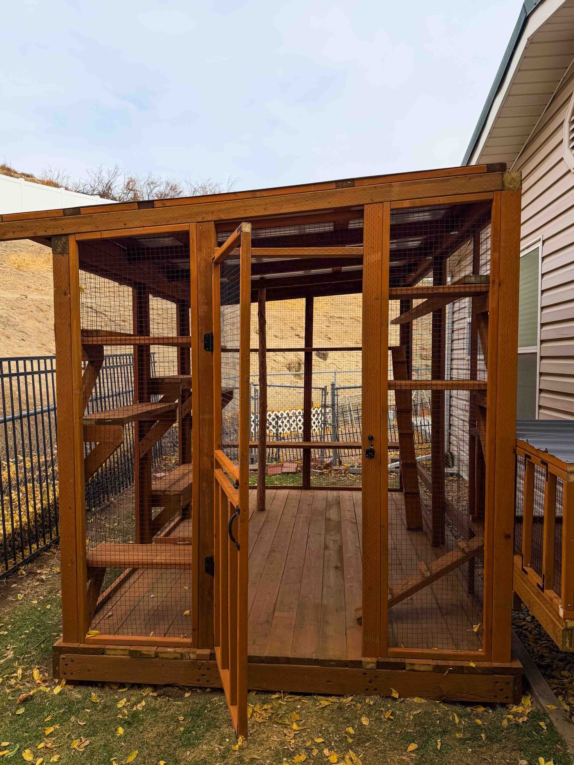 Front view of large wooden catio with open door, showing interior ramps and climbing platforms.