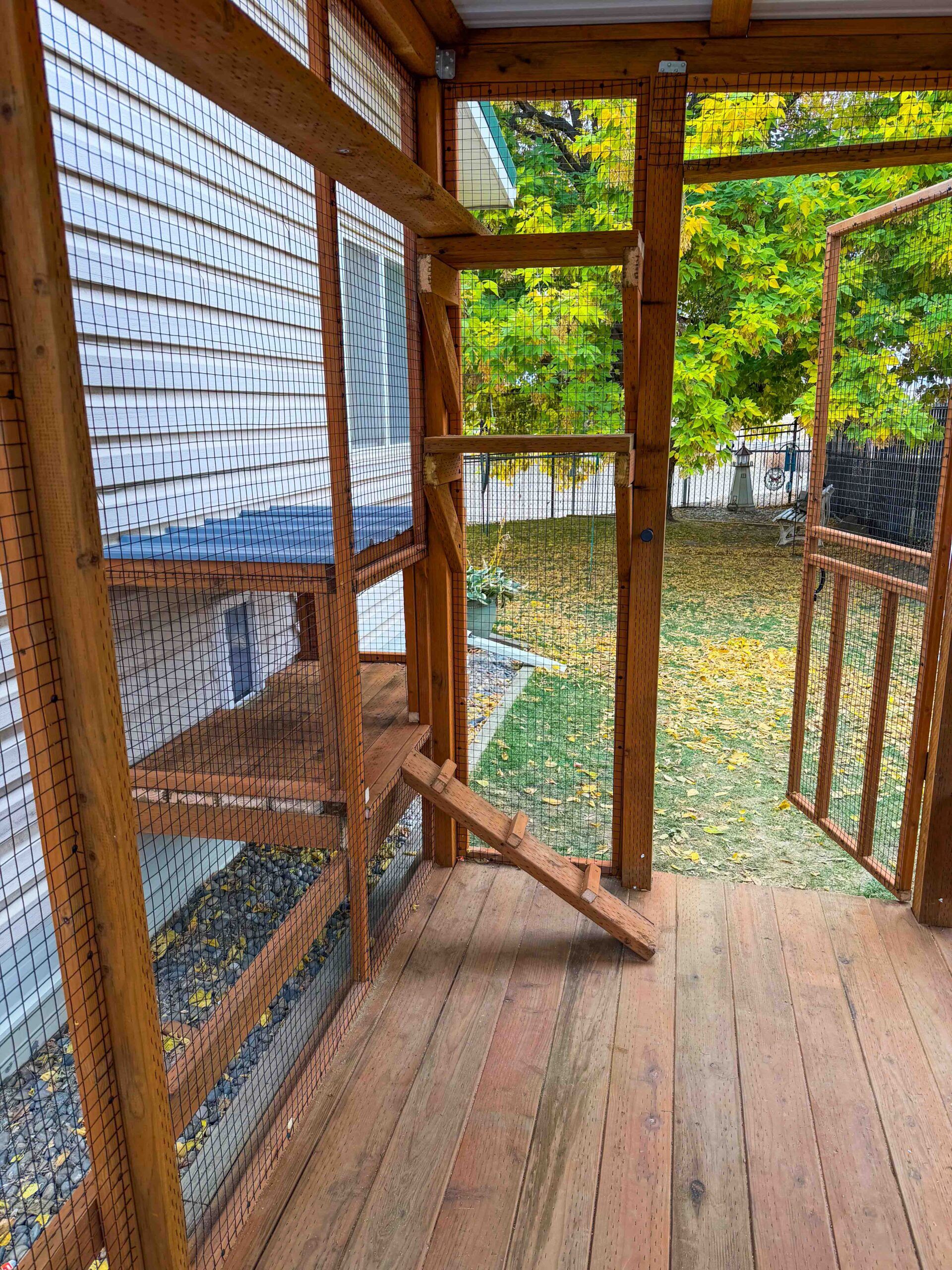 Interior view of catio showing wooden ramps and shelves leading to exterior door and garden area.