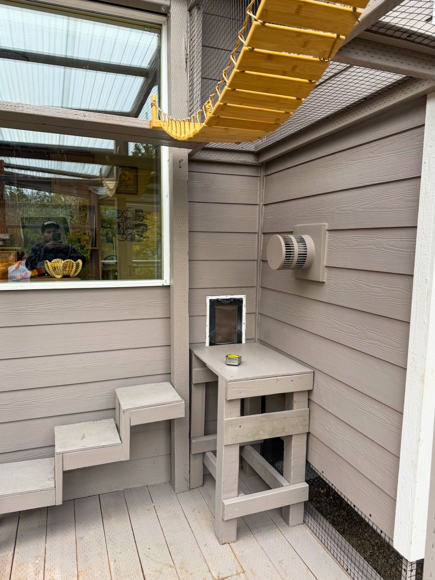 Cat walkway with steps, bridge, and cat door built into a gray siding wall for indoor-outdoor access.