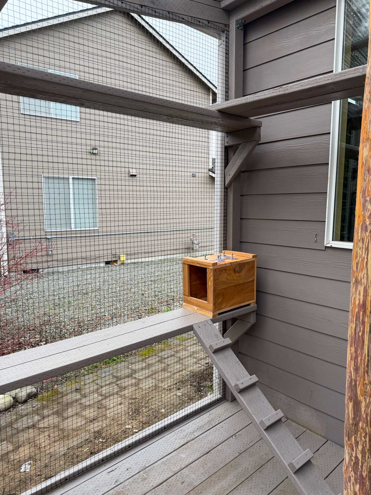 Wooden catio ramp leading to a small wooden cat house mounted on the enclosure’s wall.