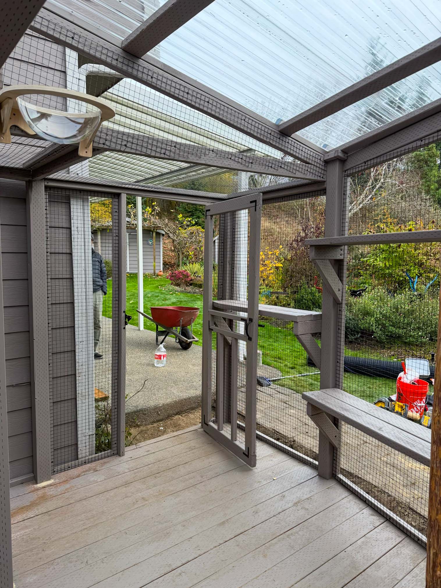 Interior view of a custom gray catio with a transparent roof, wire mesh walls, and an open door leading to a green backyard.