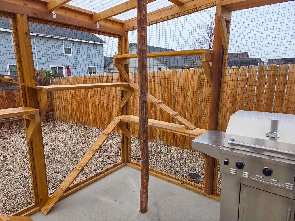 Inside custom catio with wooden climbing shelves, vertical log post, and outdoor grill.