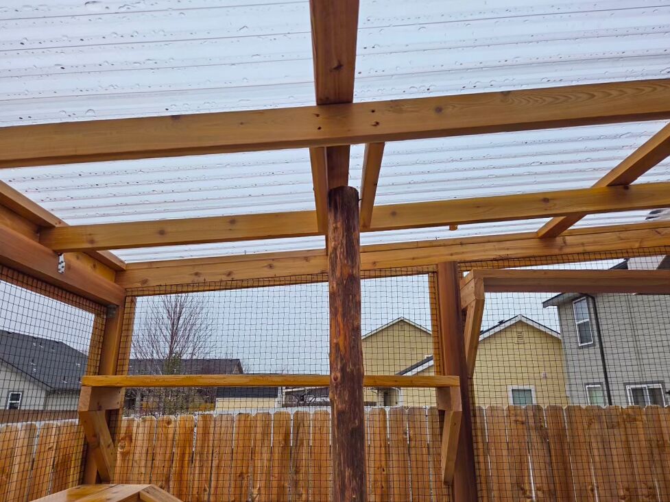 Cedar-framed catio with clear polycarbonate roof and central wood post.