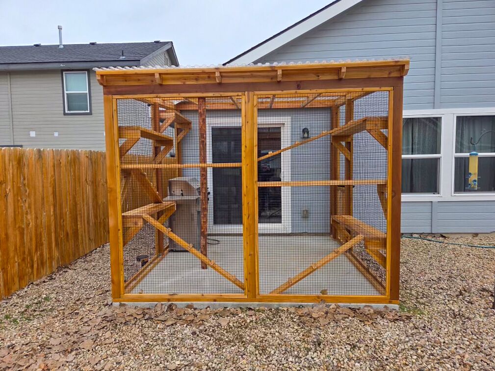 Outdoor custom catio attached to a gray home with cedar framing and multiple climbing shelves.