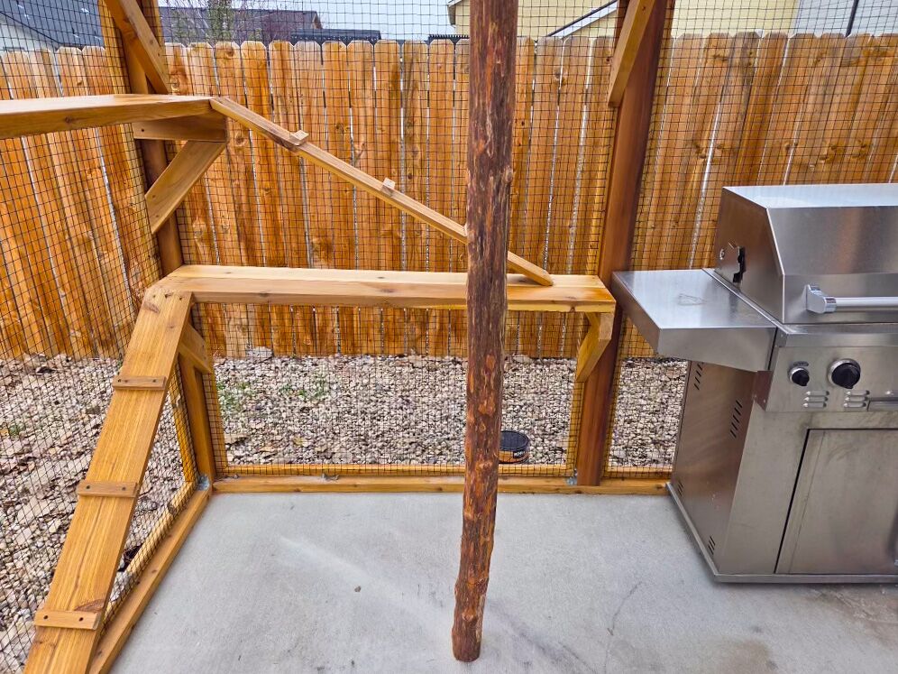 Inside view of catio showing wooden shelves, a natural climbing post, and outdoor grill setup.