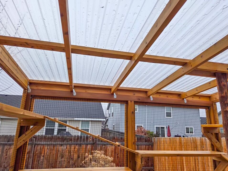 Clear polycarbonate roof of catio with cedar beams providing weather protection.