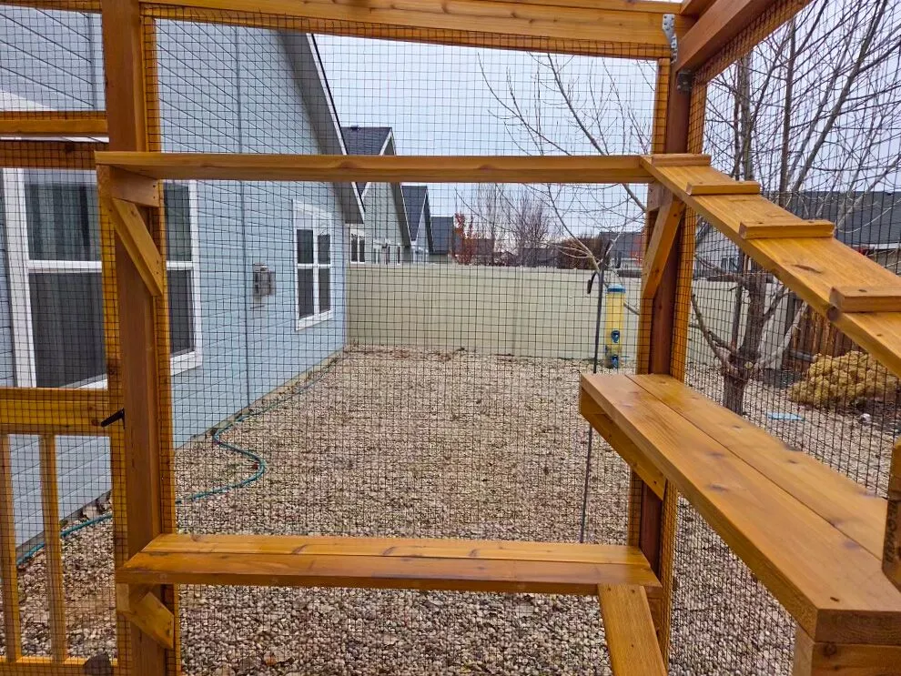 Catio shelves facing backyard, designed for climbing and lounging space.