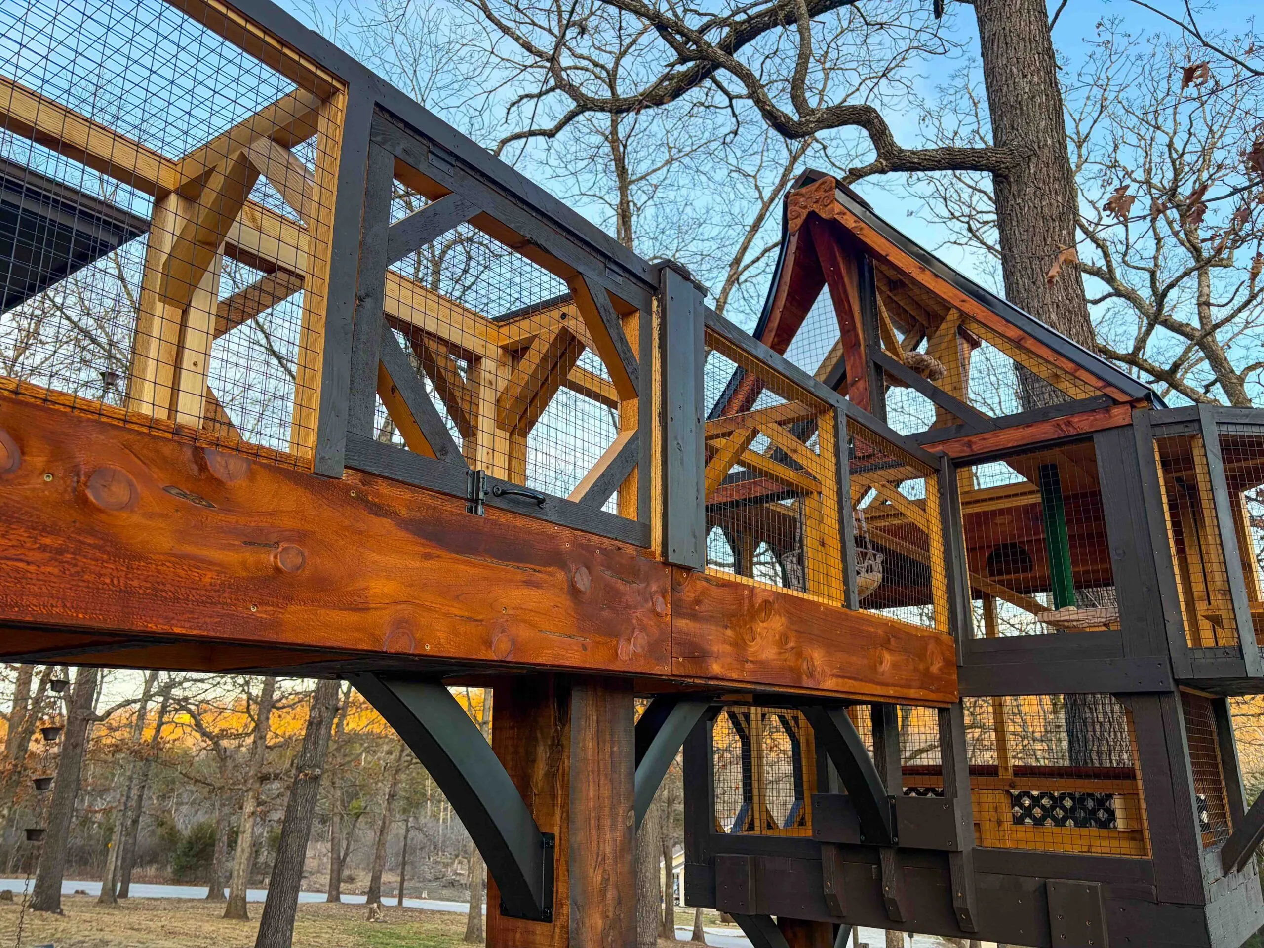 Close-up view of an elevated custom catio walkway featuring rich cedar wood panels, dark charcoal framing, decorative cross-bracing, and secure wire mesh panels set against a wooded backyard landscape.