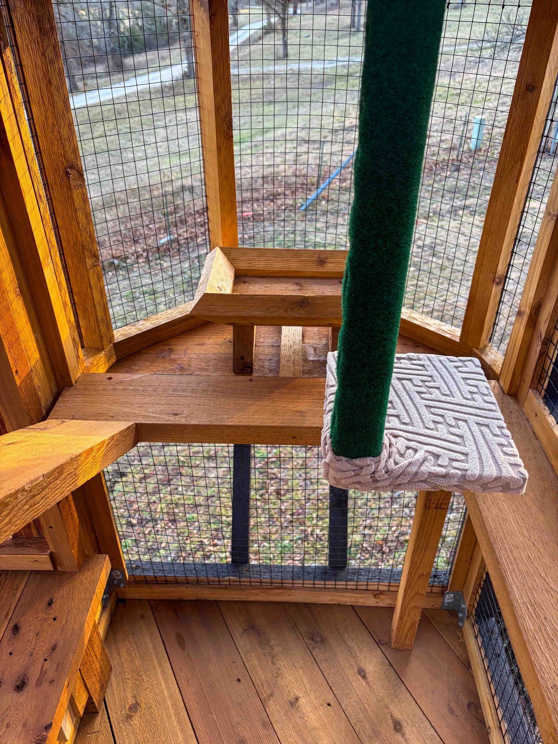 Interior corner view of a custom cedar catio tower featuring staggered wooden climbing shelves, a green carpeted scratching post, cushioned platform perch, and secure wire mesh panels overlooking a backyard.