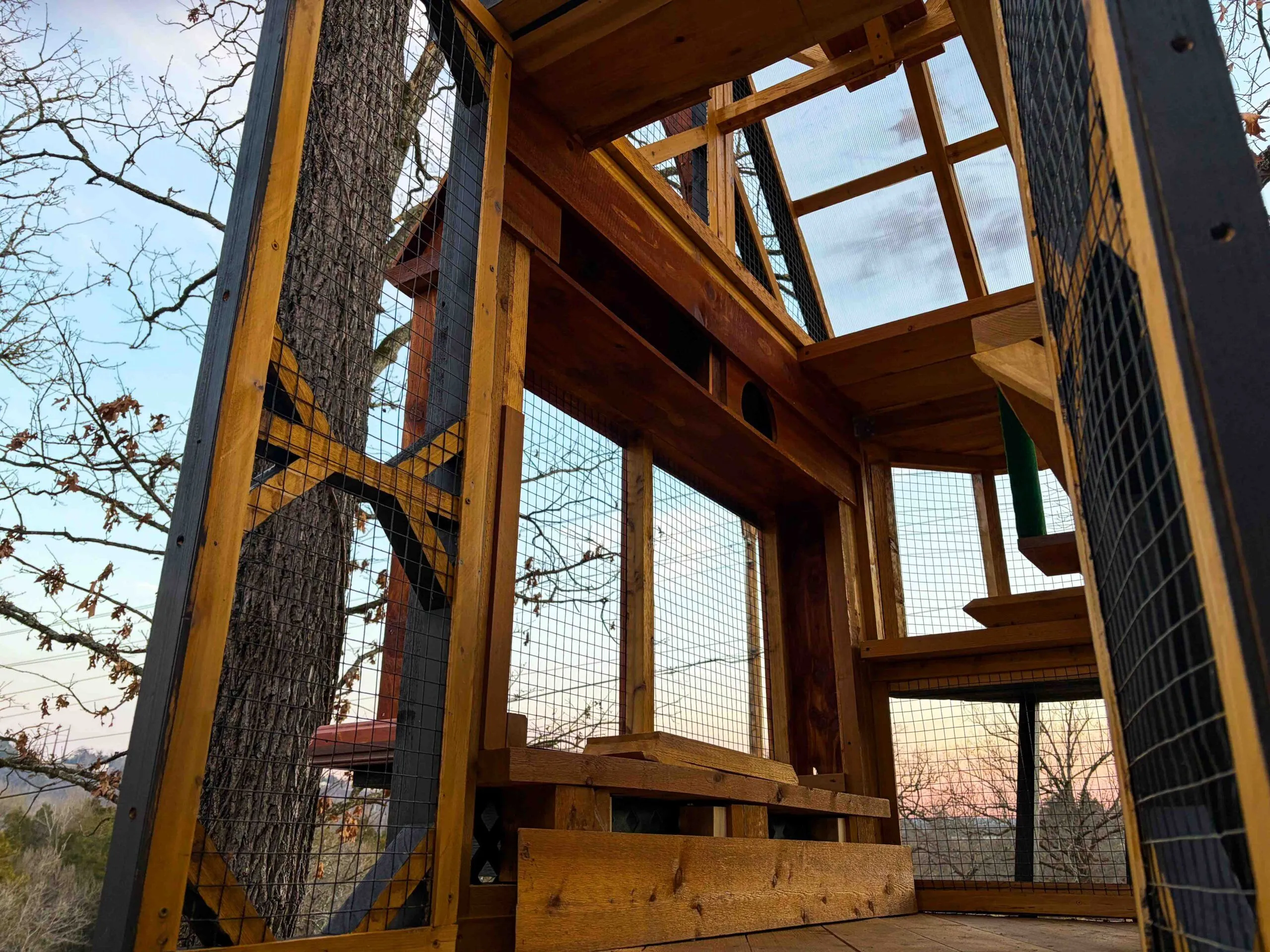 Close-up interior angle of cedar catio framing with angled support beams, mesh panels, and elevated shelving inside a gabled tower section.