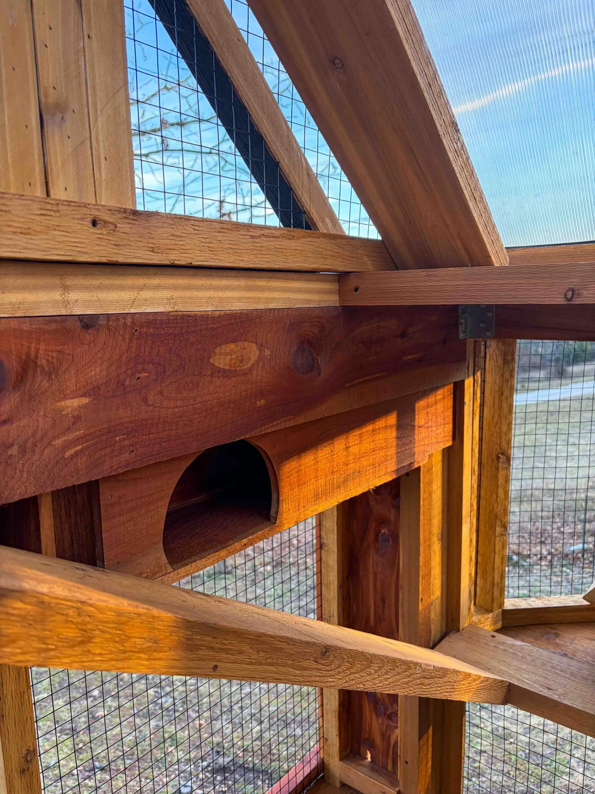 Detailed close-up of cedar catio interior featuring a small enclosed cubby hideout built into a ramp structure beneath a translucent roof panel.