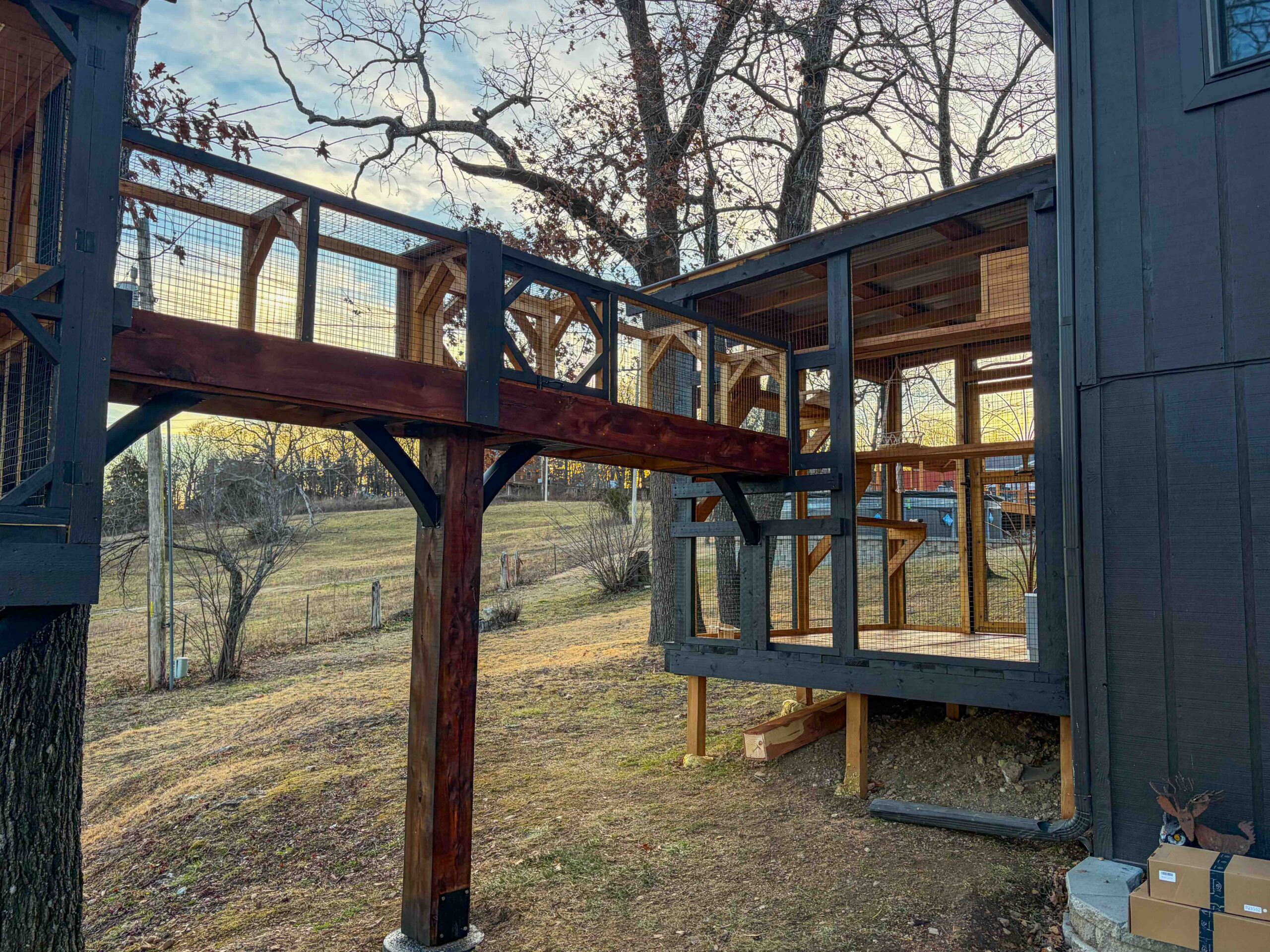 Elevated wooden catio bridge connecting a tall lookout tower to a ground-level enclosure, featuring cedar planks, charcoal framing, wire mesh panels, and curved support brackets over a sloped backyard.