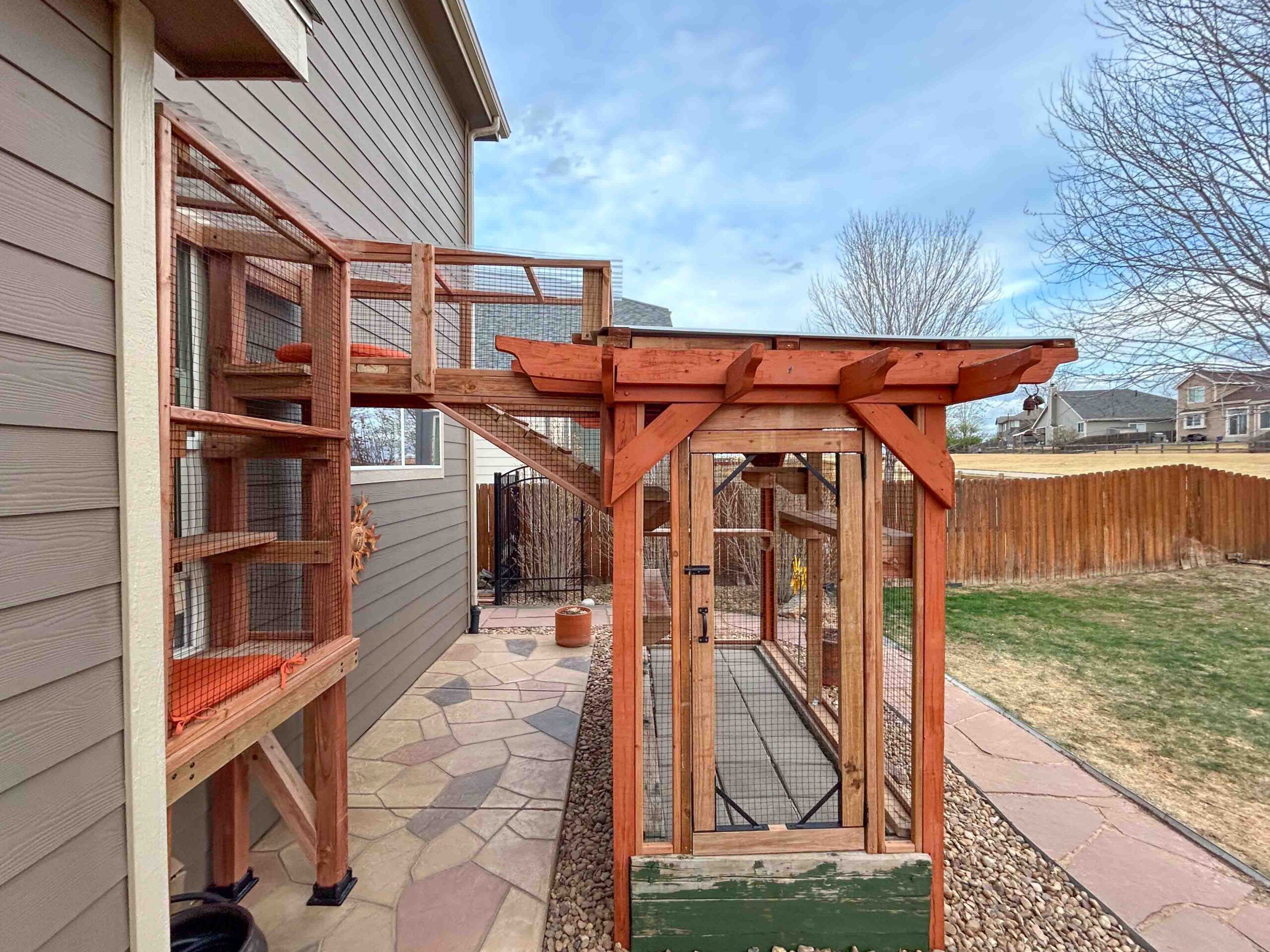 Ground-level custom catio with pergola roof connected to elevated cat walkway and vertical enclosure, featuring wooden framing, mesh panels, and integrated ramp for easy movement.