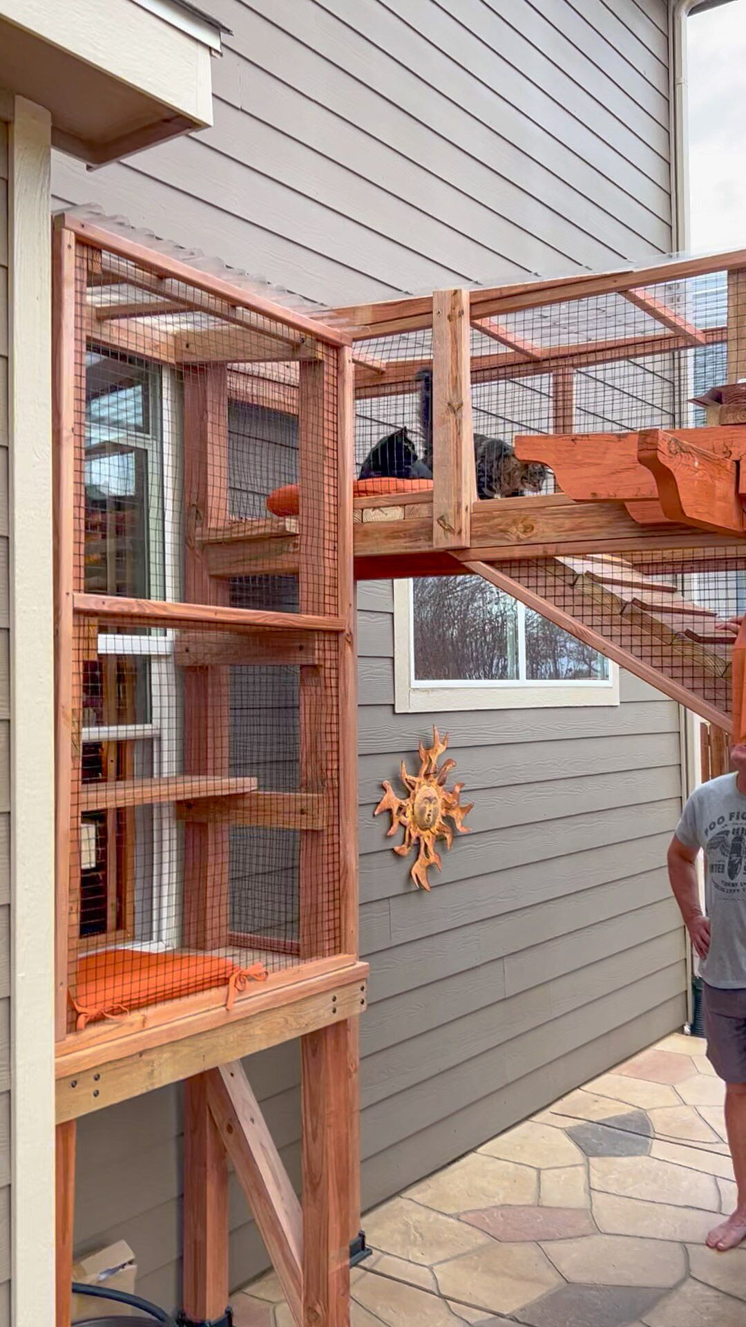 Elevated cat walkway connecting vertical catio tower to main enclosure, with cats resting on wooden platforms inside a secure mesh structure attached to the home.
