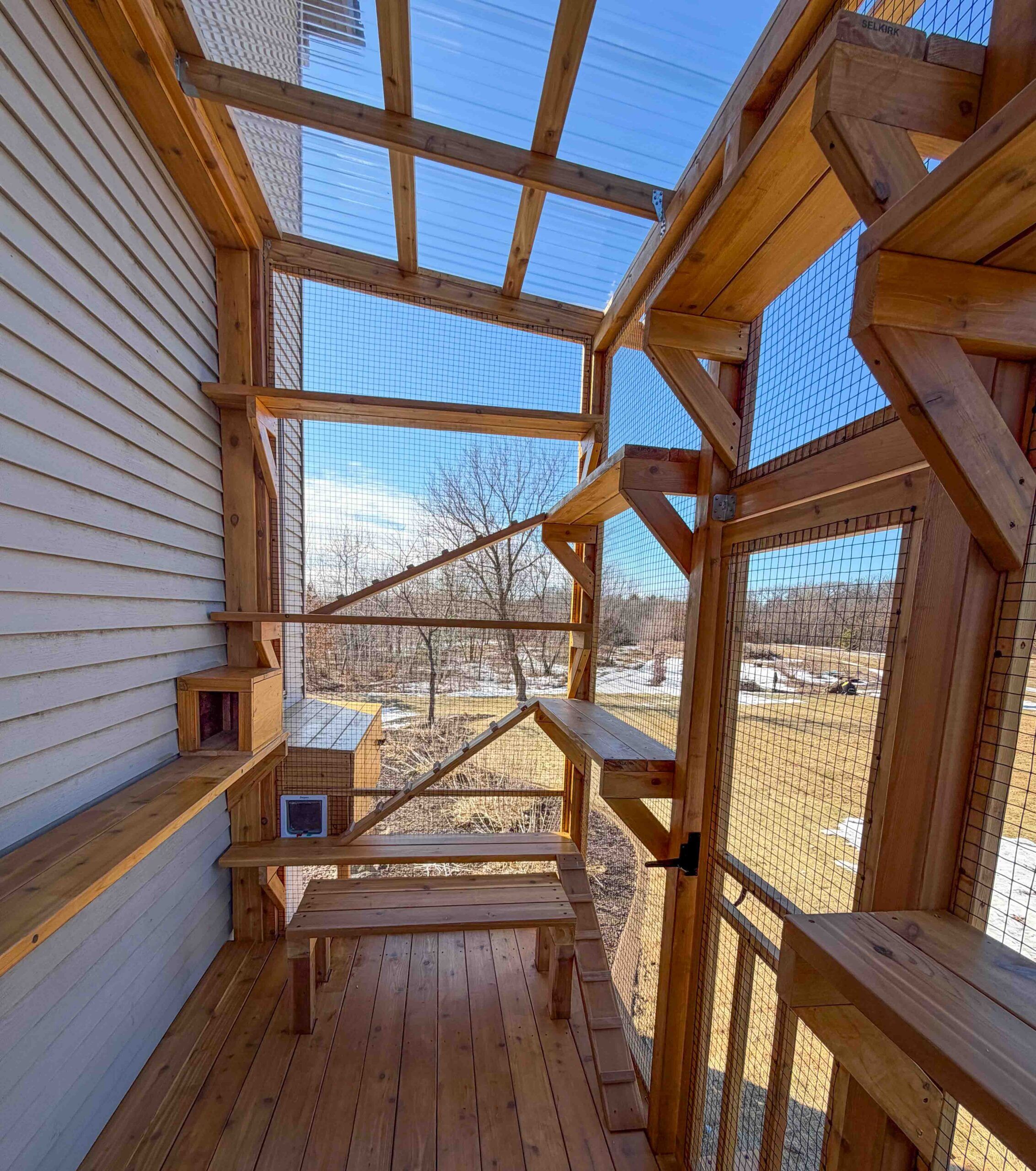 Interior corner of a catio with tall climbing shelves, ramps, and a vertical natural branch scratching post overlooking a yard through secure wire mesh.