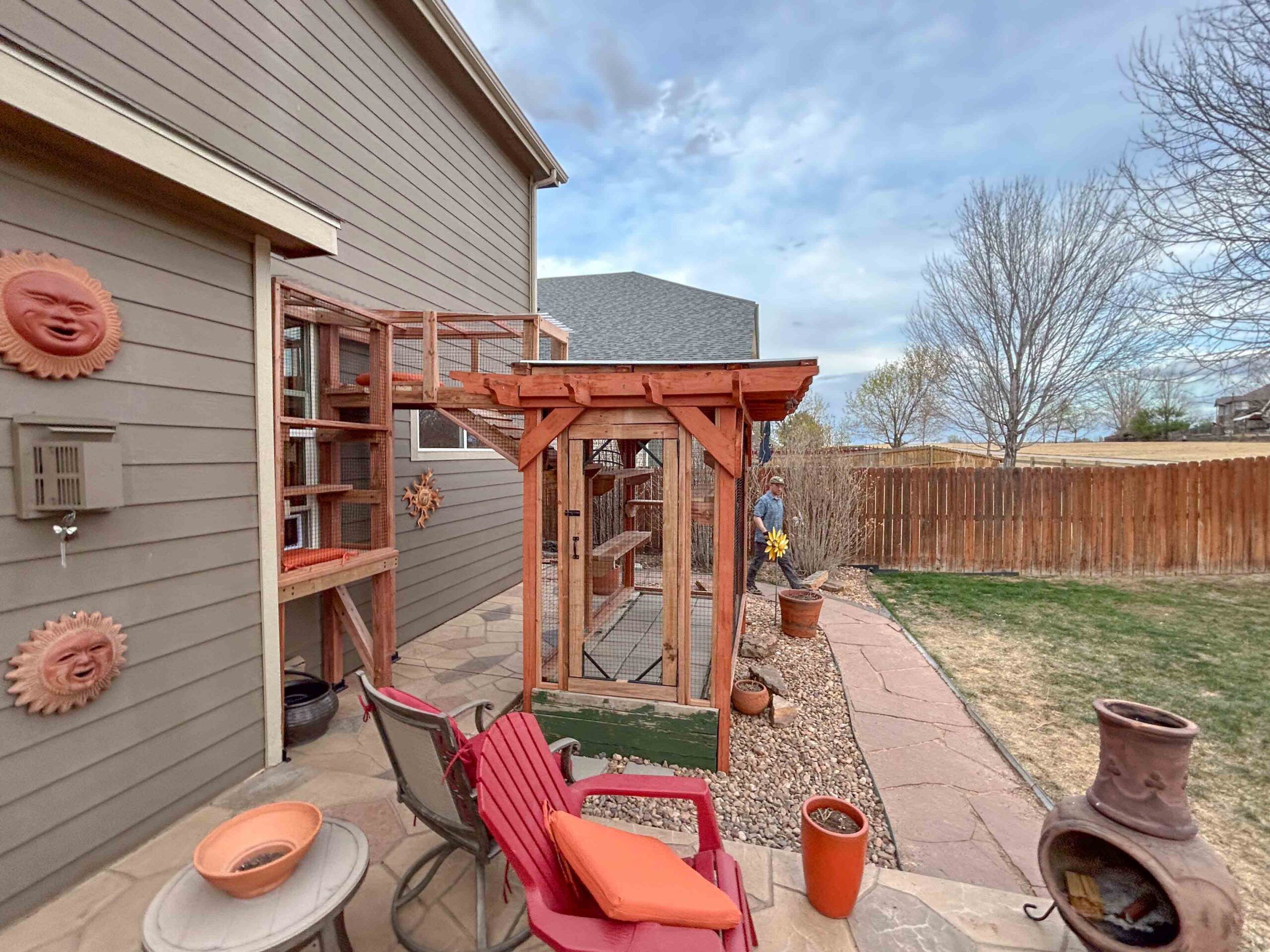 Custom catio connected to house with elevated cat tunnel and vertical climbing enclosure, featuring cedar wood construction, mesh walls, and secure access points along a backyard patio.