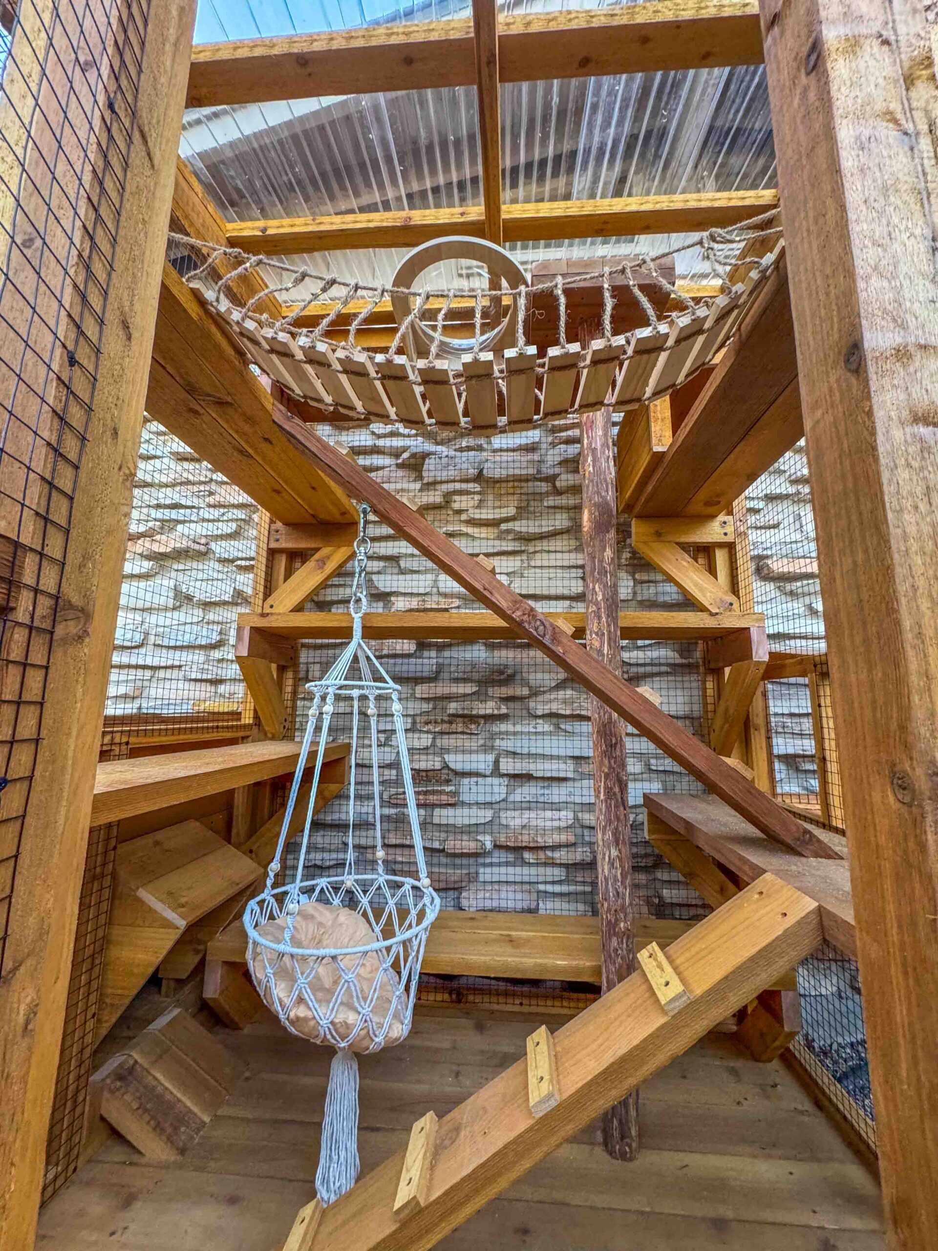 Upward view of a custom catio showing a suspended rope bridge, clear roof panels for natural light, and multi-level wooden climbing platforms connected by ramps and posts.