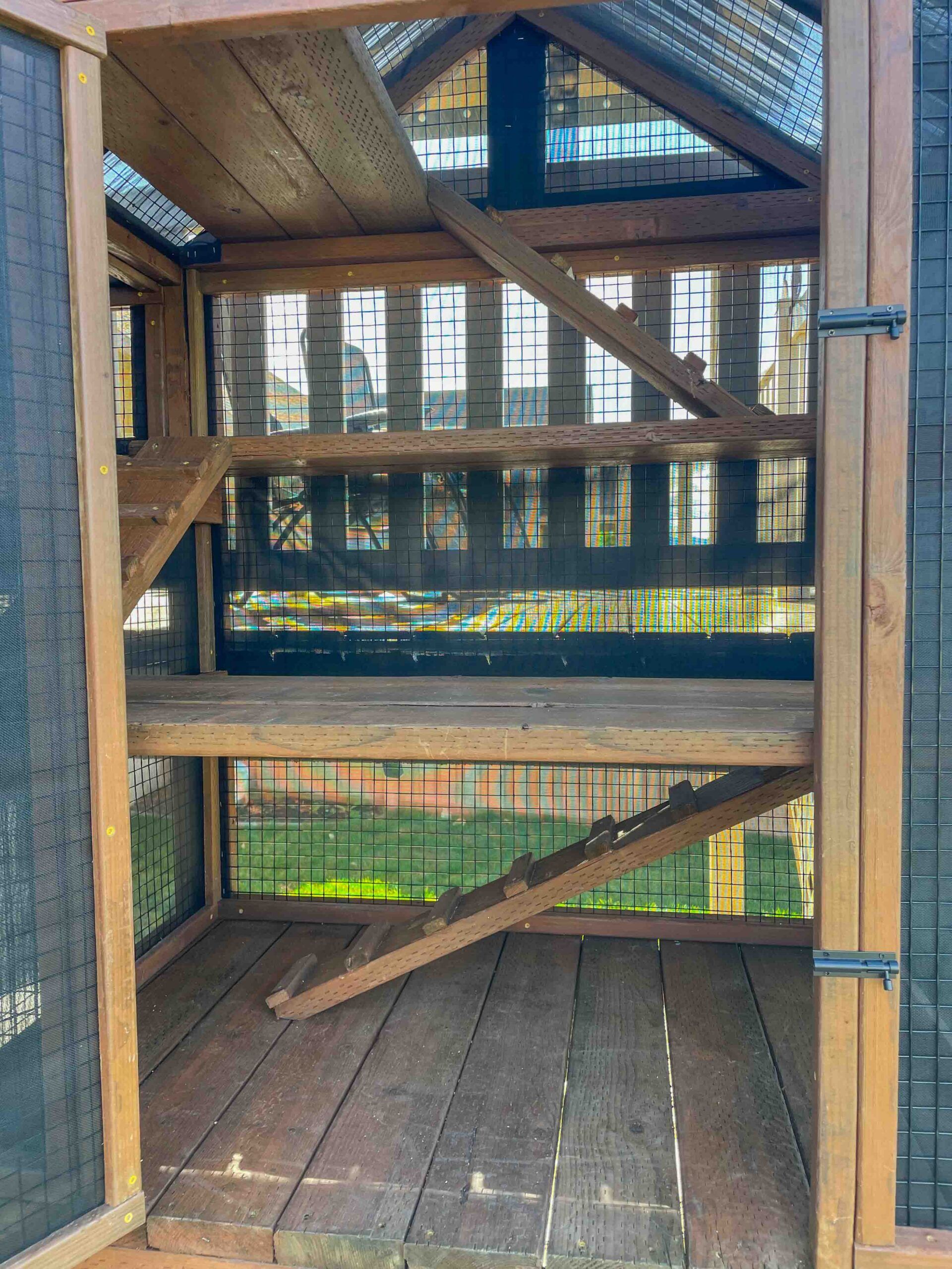 Interior view of a wooden catio showing multiple levels with wide platforms, mesh walls, and angled wooden ramps for cats to climb between levels.