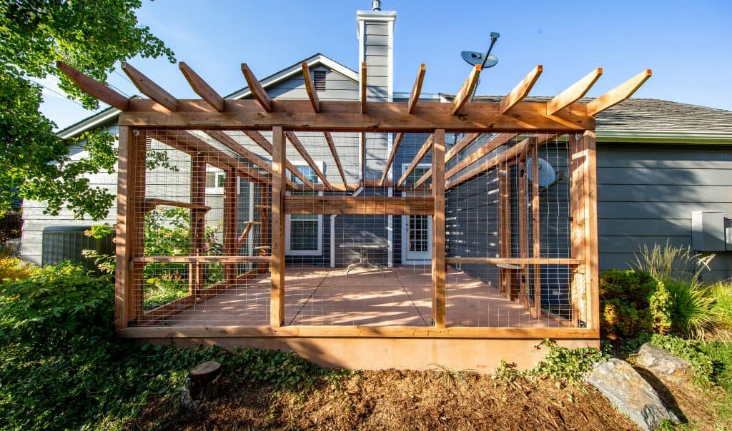 custom catio