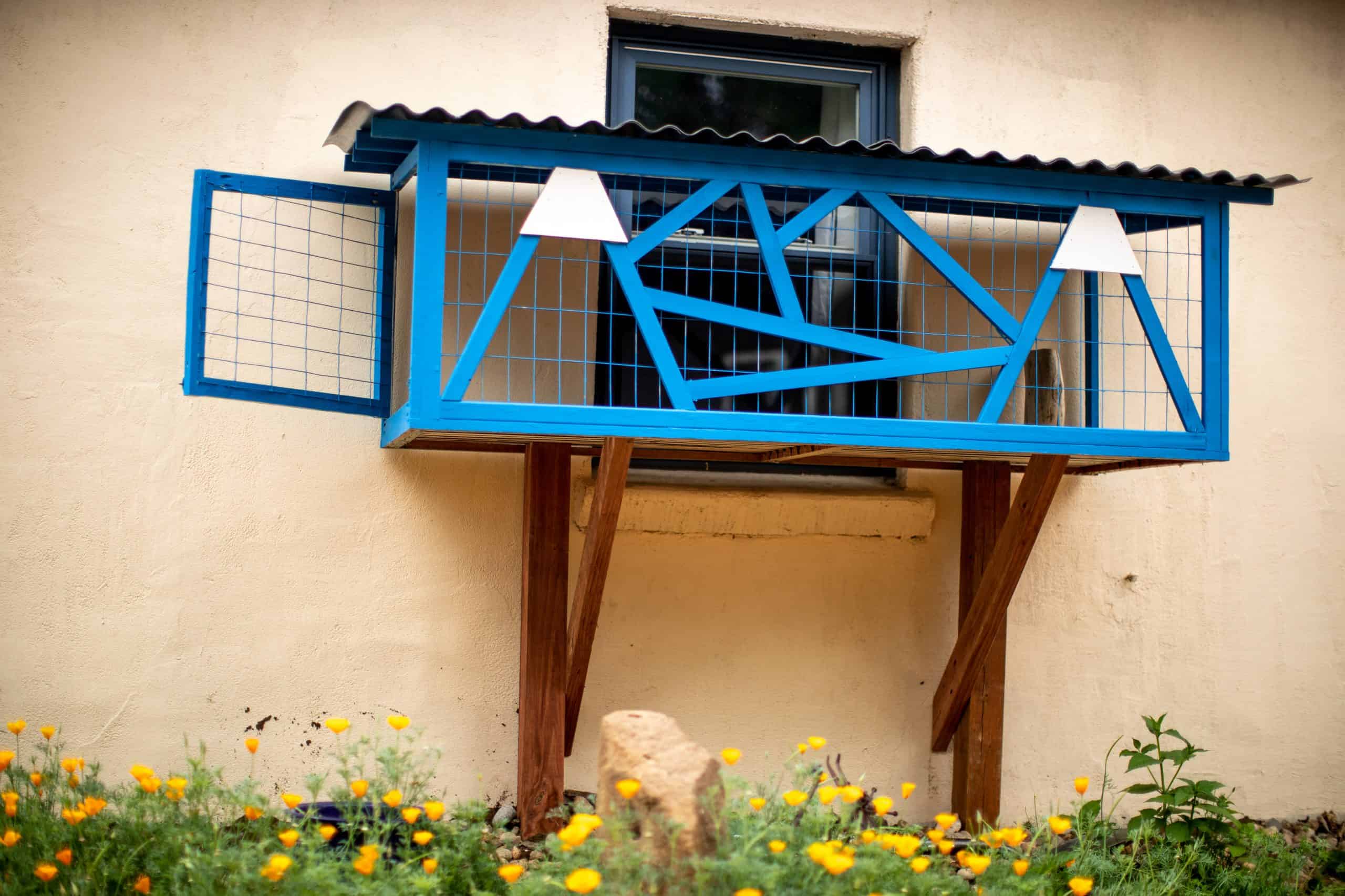 Custom mountain‑style window catio blending with rustic exterior