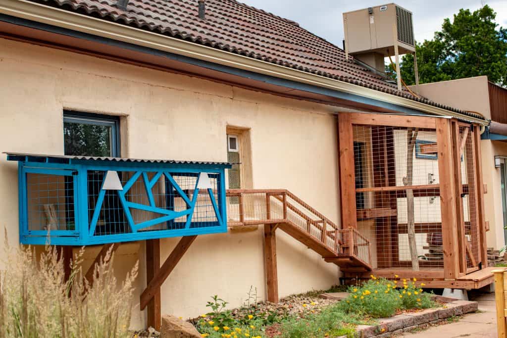 Outdoor Cat Enclosures Connected To House Cat Topia Outdoor Cat Enclosures Connected To House Cat Topia